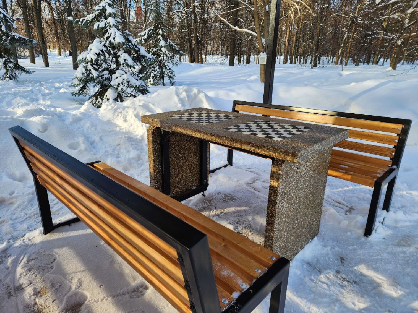 мытищи, шахматы, Шахматные беседки, инициативное бюджетирование,