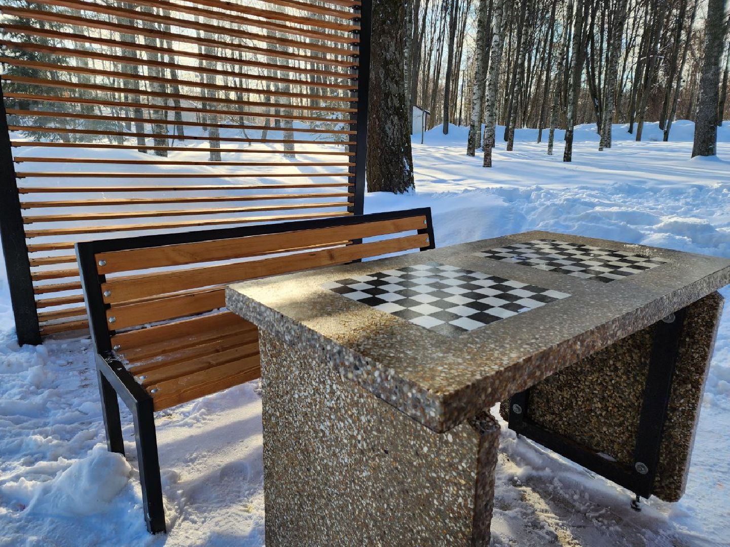 мытищи, шахматы, Шахматные беседки, инициативное бюджетирование,