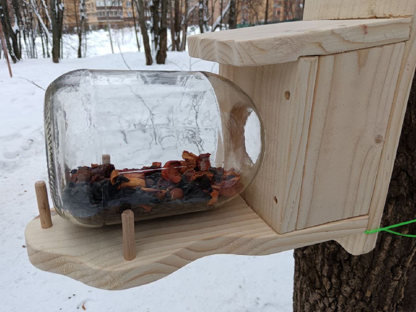 долгопрудный, парки, белки, утки, кормушка,