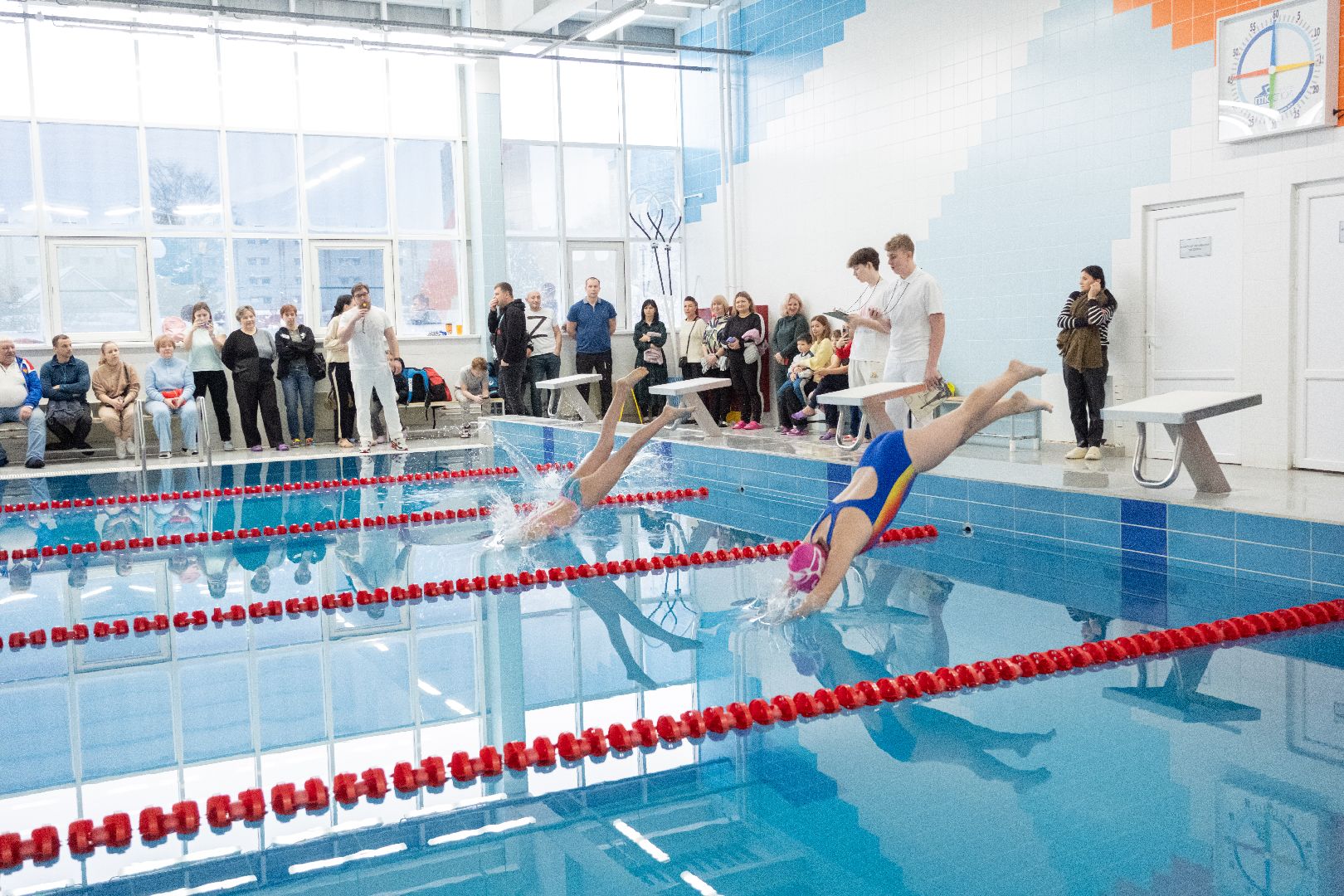 лыткарино, спорт, плавание,