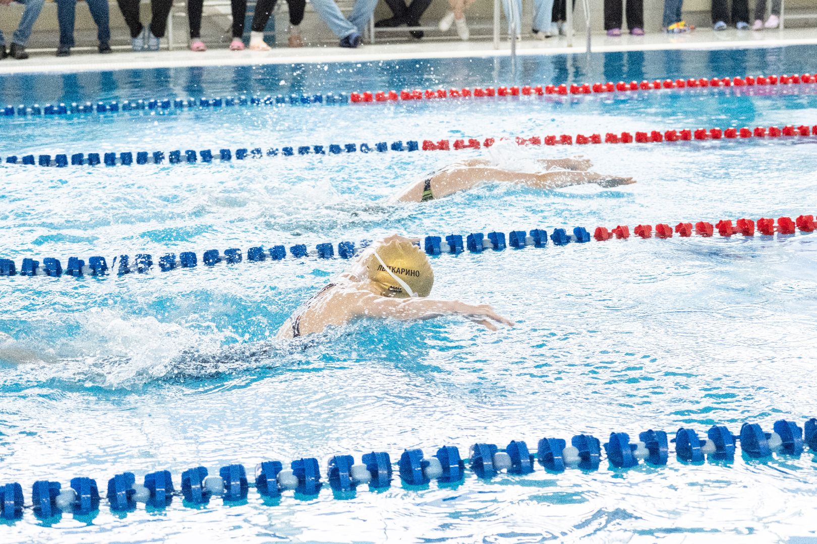 лыткарино, спорт, плавание,
