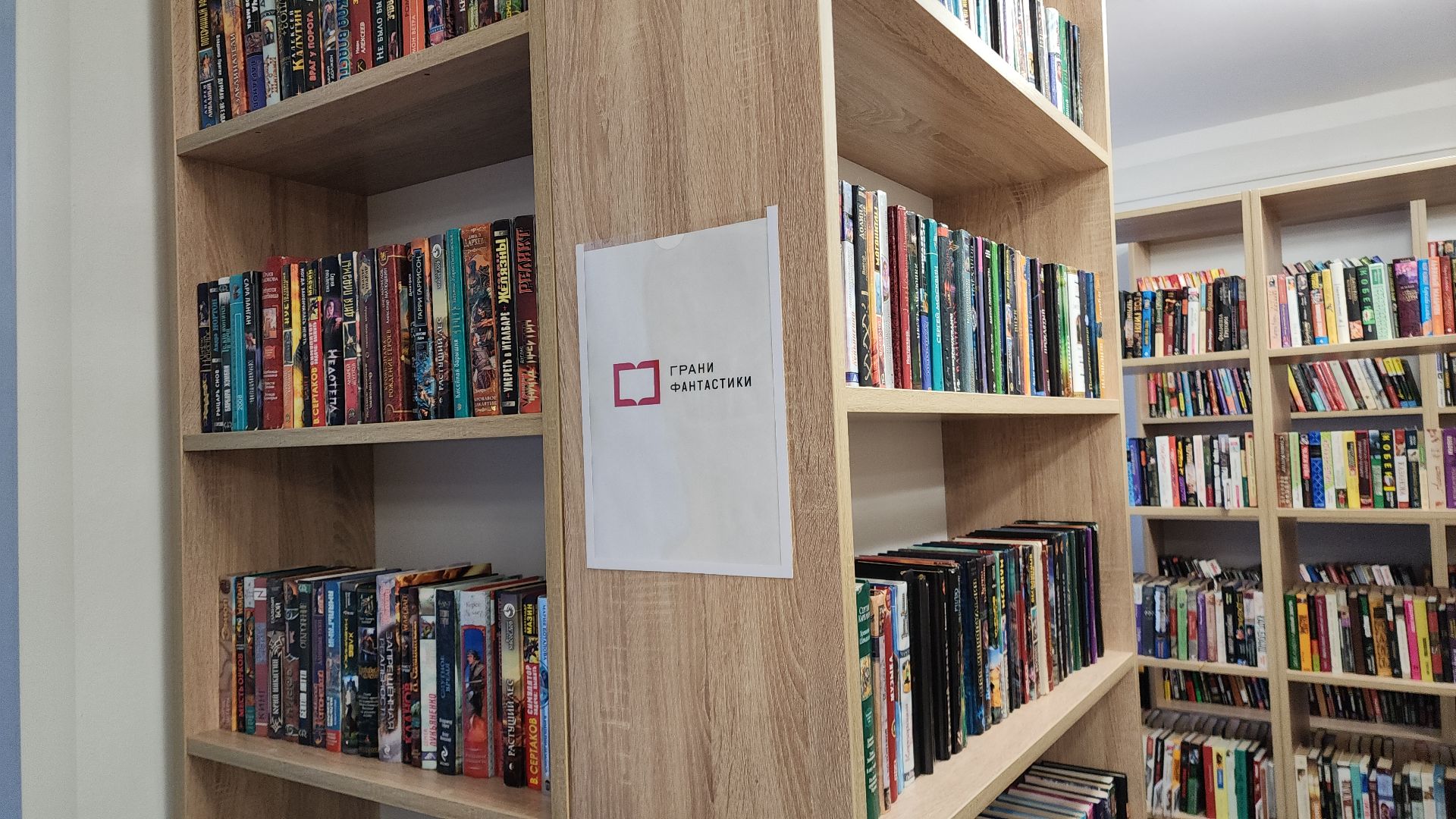 электросталь, мой город, жители города, дети, культура, образование, библиотека, библиотека семейного чтения, библиотекарь, книги,