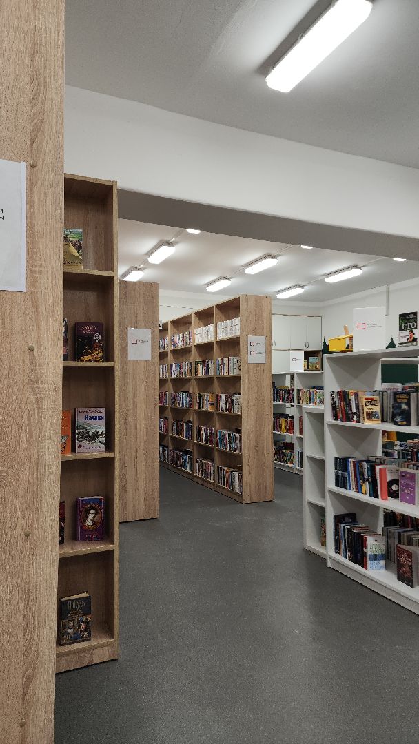 электросталь, мой город, жители города, дети, культура, образование, библиотека, библиотека семейного чтения, библиотекарь, книги,