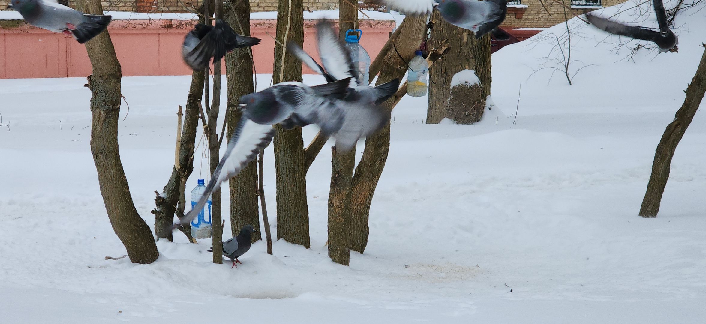 электросталь, мой город, жкх, жкх подмосковье, управляющая компания, сосульки, наледь, чистка кровли от снега, альпинизм,