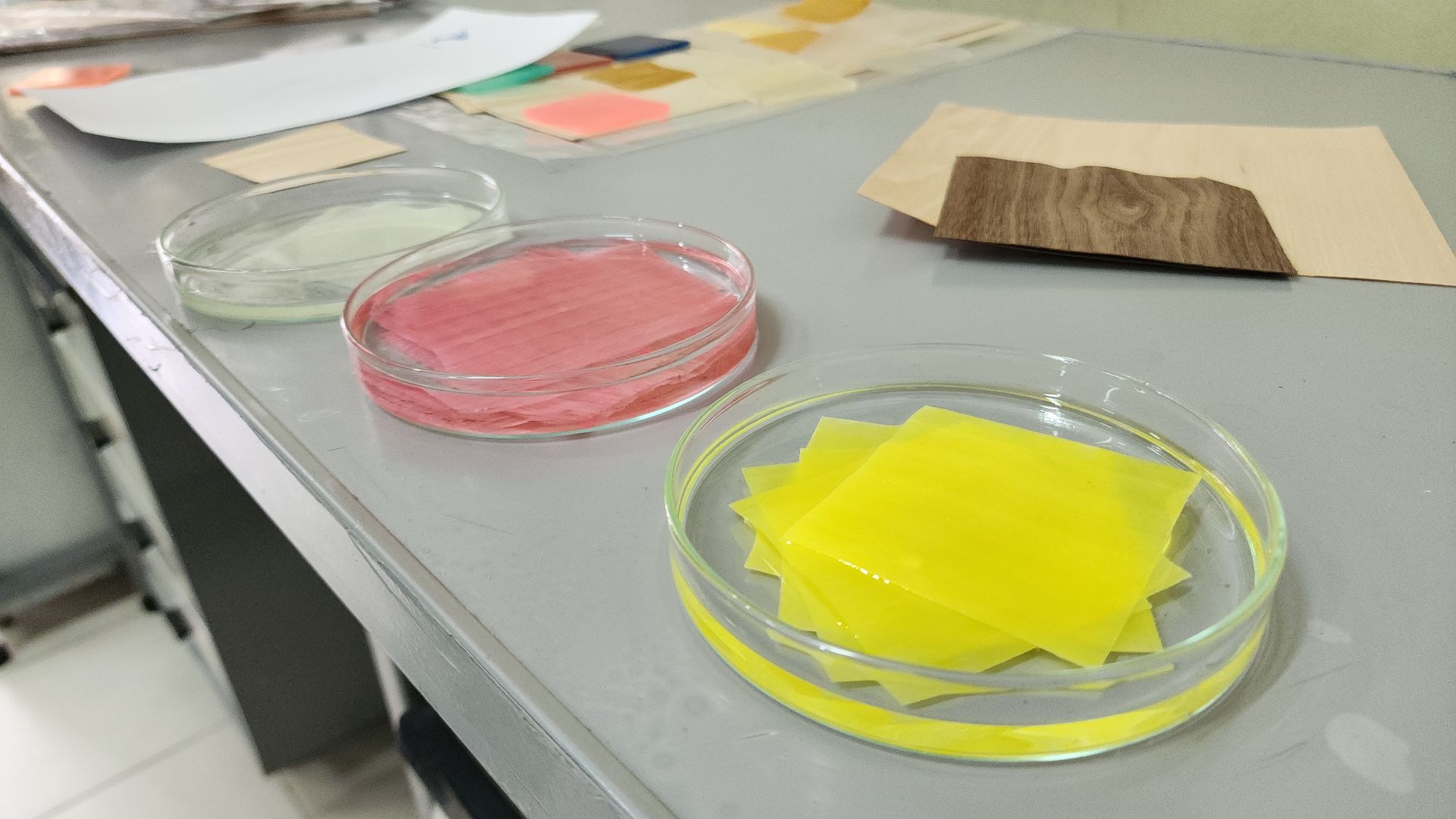 черноголовка, наука, наука рядом, исследование, ученые, ученый, опыты, институт, лаборатория, химия,