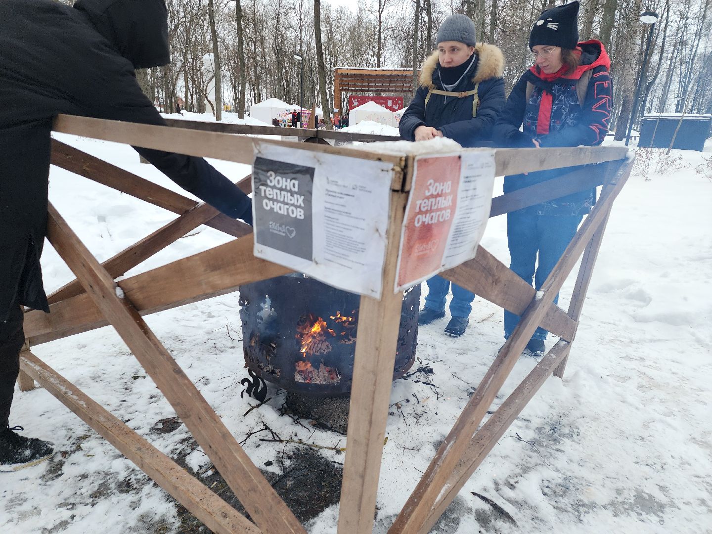 серпухов, подмосковье, очаги в парке, парк имени олега степанова, зима в подмосковье,