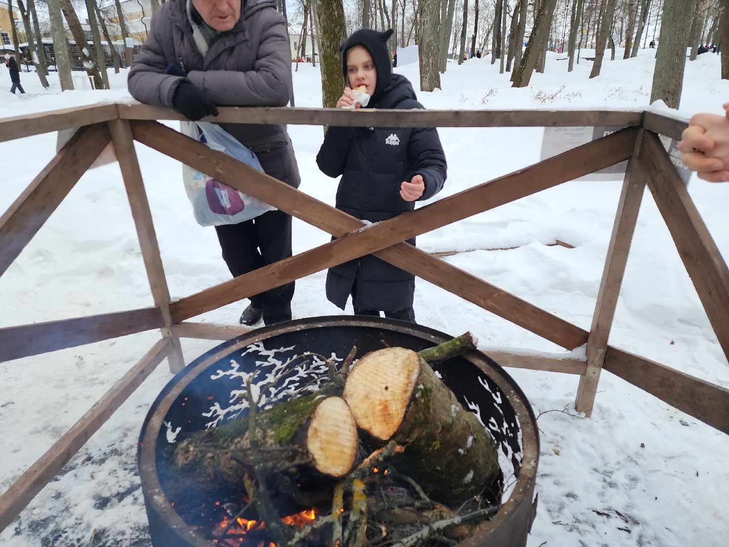 серпухов, подмосковье, очаги в парке, парк имени олега степанова, зима в подмосковье,
