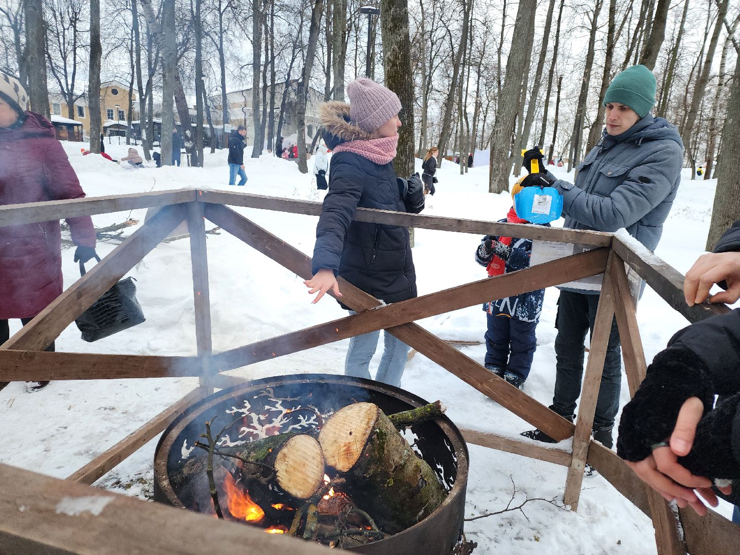 серпухов, подмосковье, очаги в парке, парк имени олега степанова, зима в подмосковье,