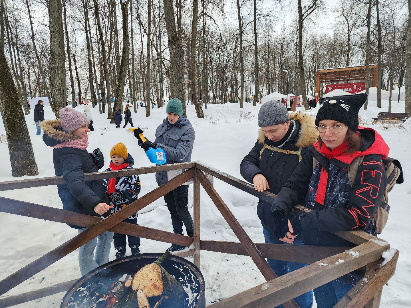 серпухов, подмосковье, очаги в парке, парк имени олега степанова, зима в подмосковье,