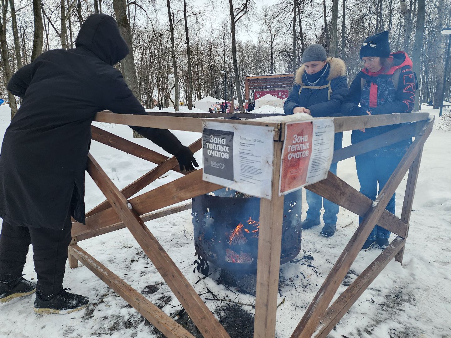 серпухов, подмосковье, очаги в парке, парк имени олега степанова, зима в подмосковье,
