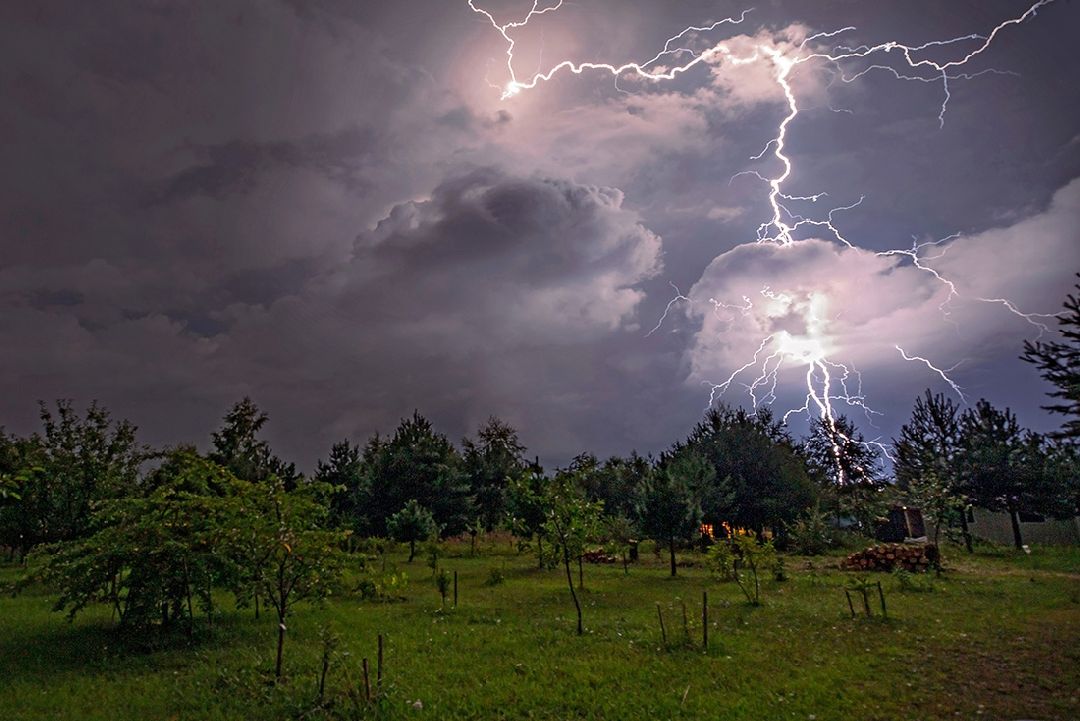 Пущино, наука, культура, выставка, фотография