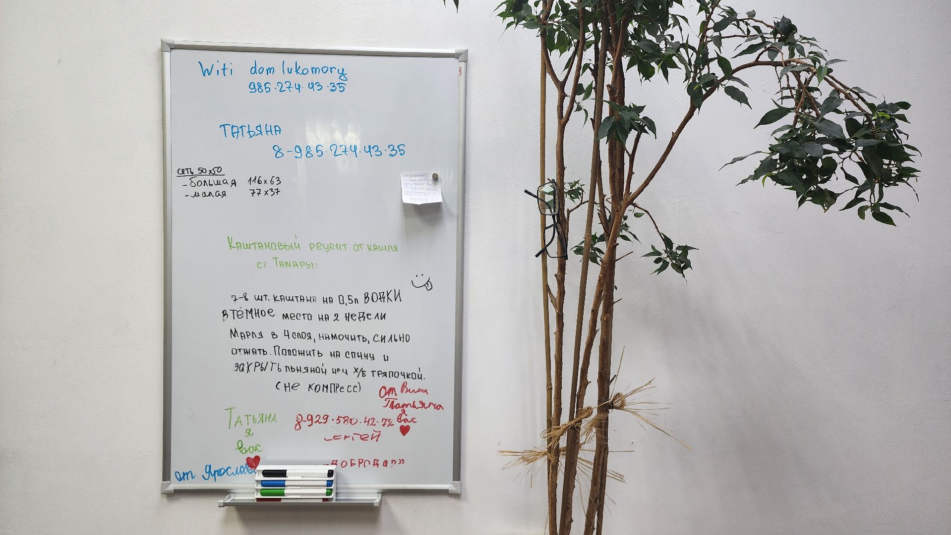 Подмосковье, Городской округ Пушкинский, Ивантеевка, Добрые дела Ивантеевки, образование, Волонтры,