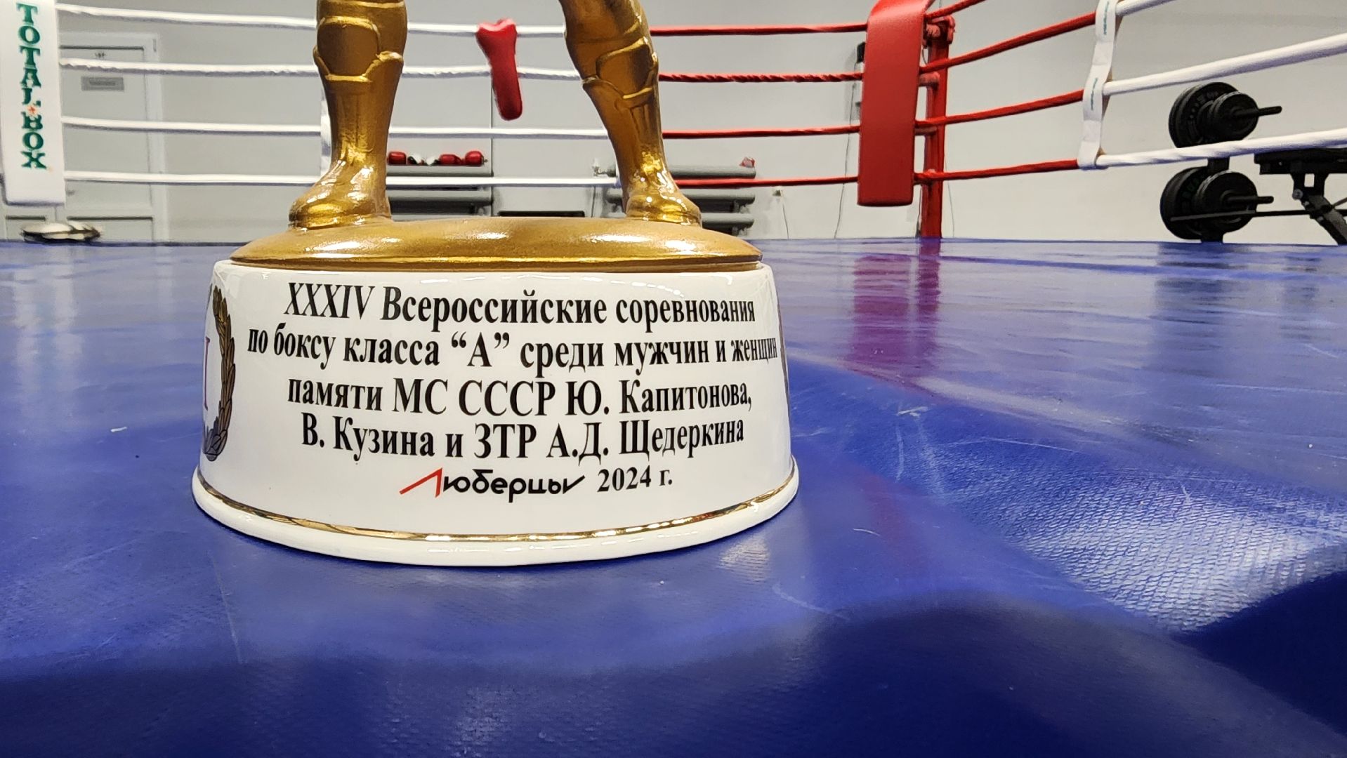 Подмосковье, Городской округ Пушкинский, Ивантеевка, сш ивантеевка, Бокс, мастер спорта россии,