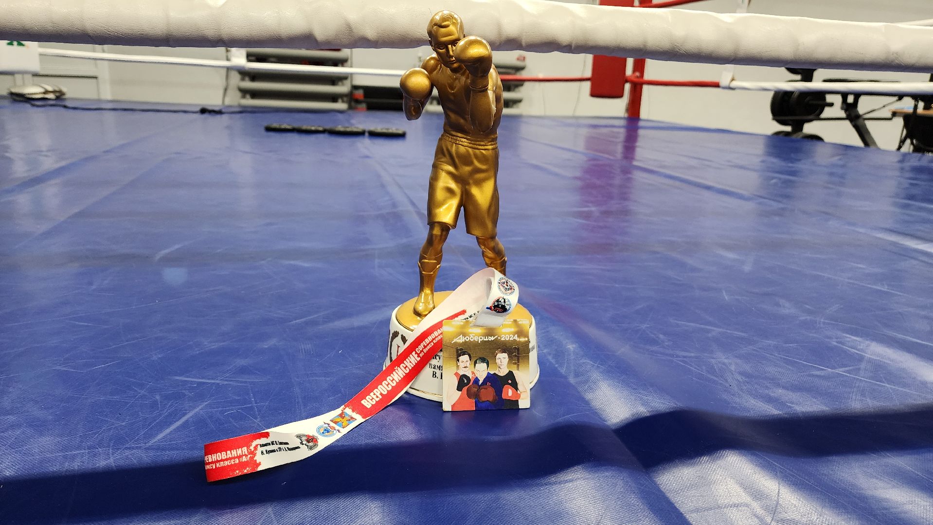 Подмосковье, Городской округ Пушкинский, Ивантеевка, сш ивантеевка, Бокс, мастер спорта россии,