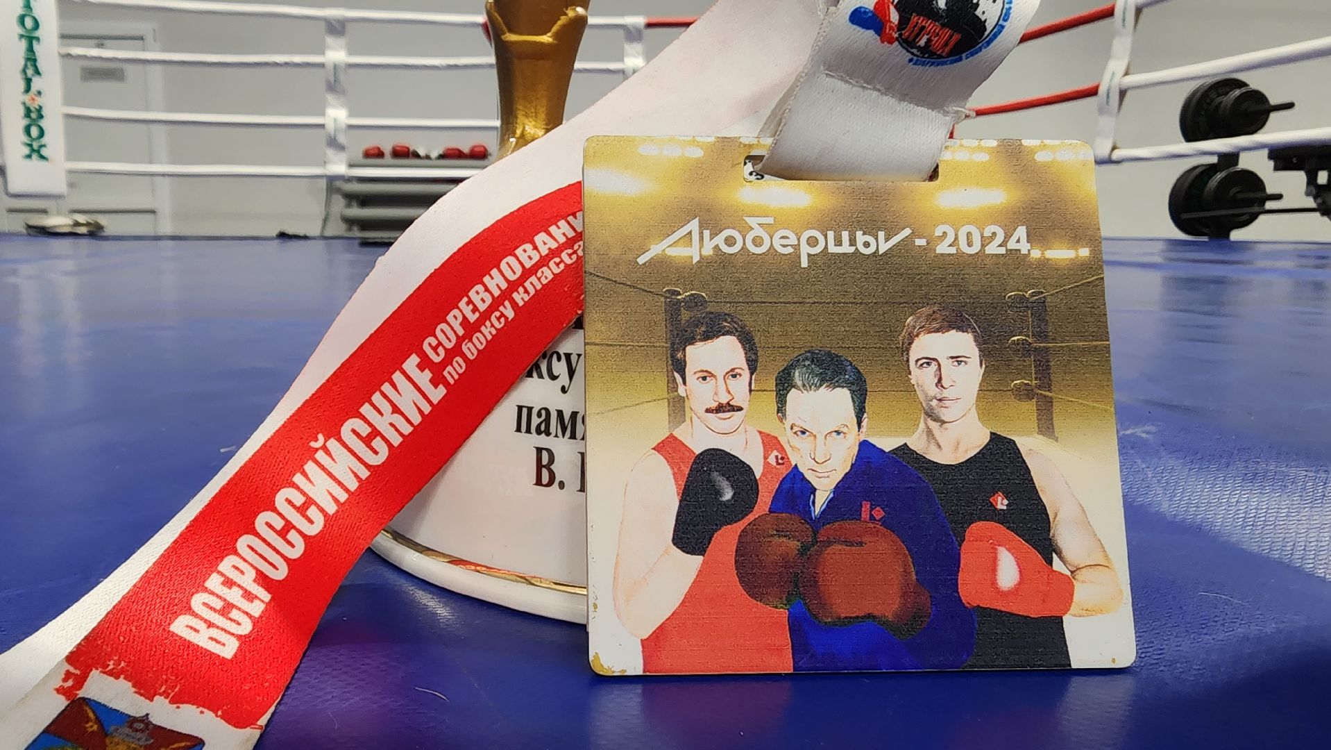 Подмосковье, Городской округ Пушкинский, Ивантеевка, сш ивантеевка, Бокс, мастер спорта россии,