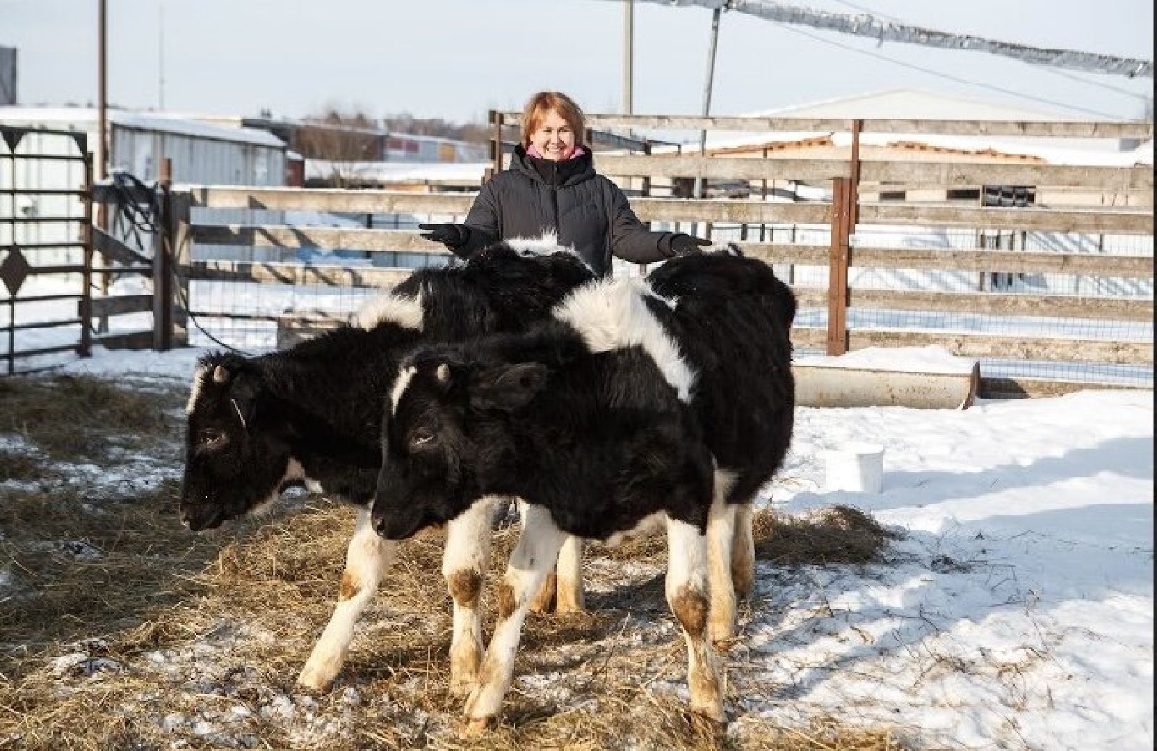 Сельское хозяйство, Фермерство, Звенигород,