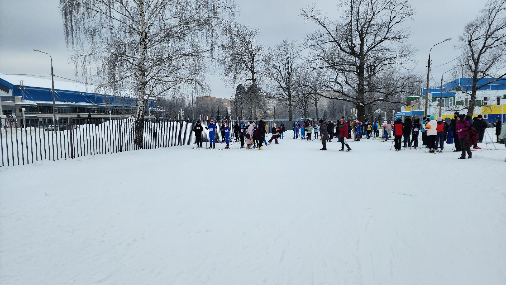 ступино, спорт ступино, спартакиада школьников ступино,