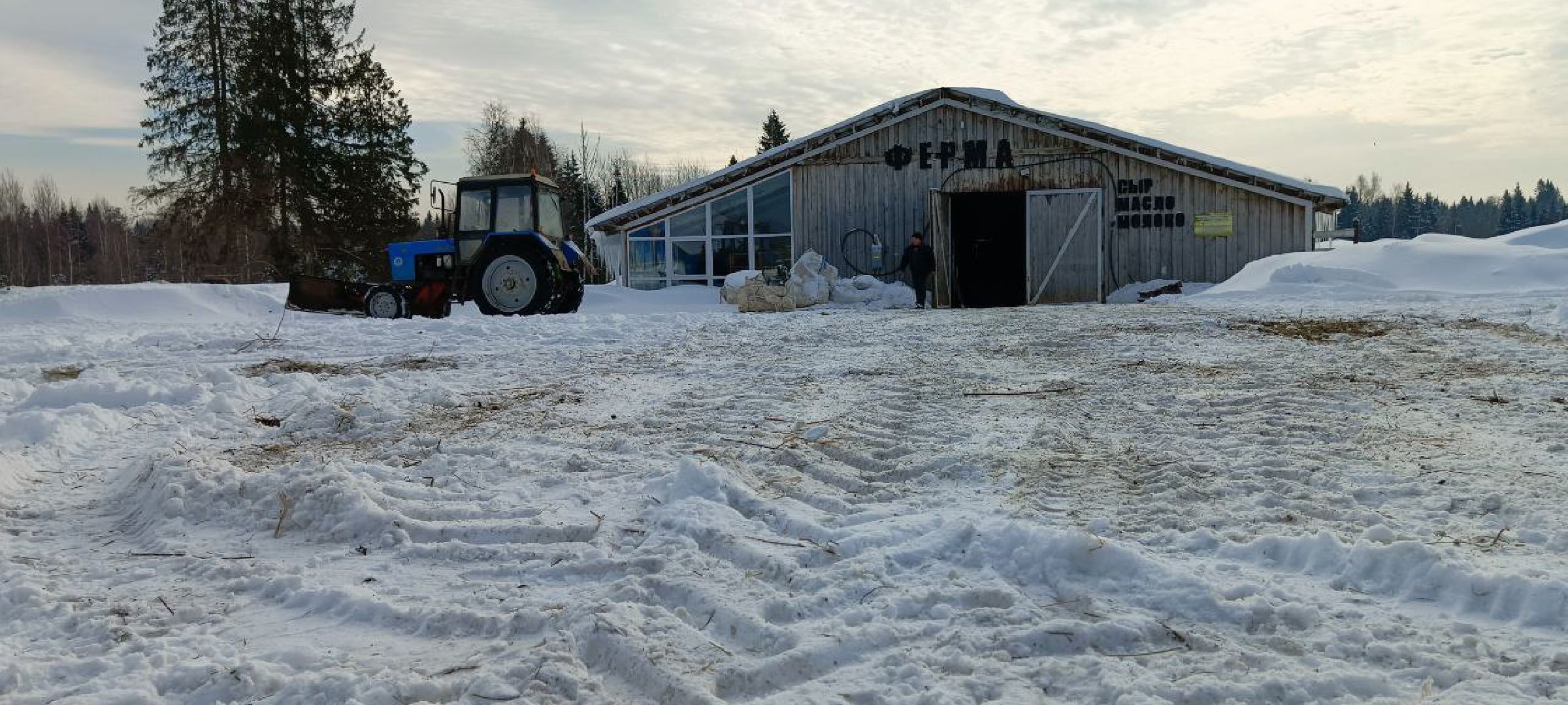 Дмитров, Сыроварня Булатовых, Минсельхоз,