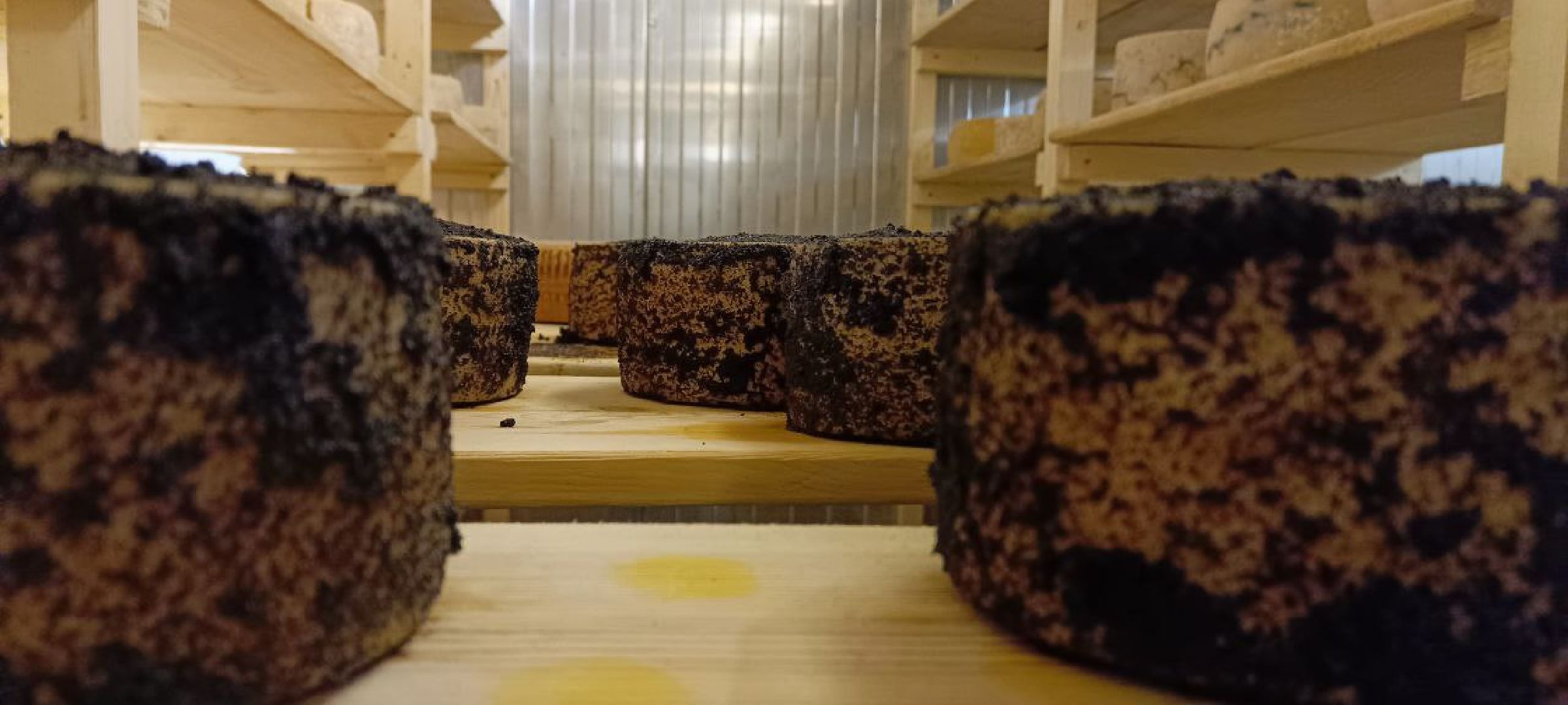 Дмитров, Сыроварня Булатовых, Минсельхоз,