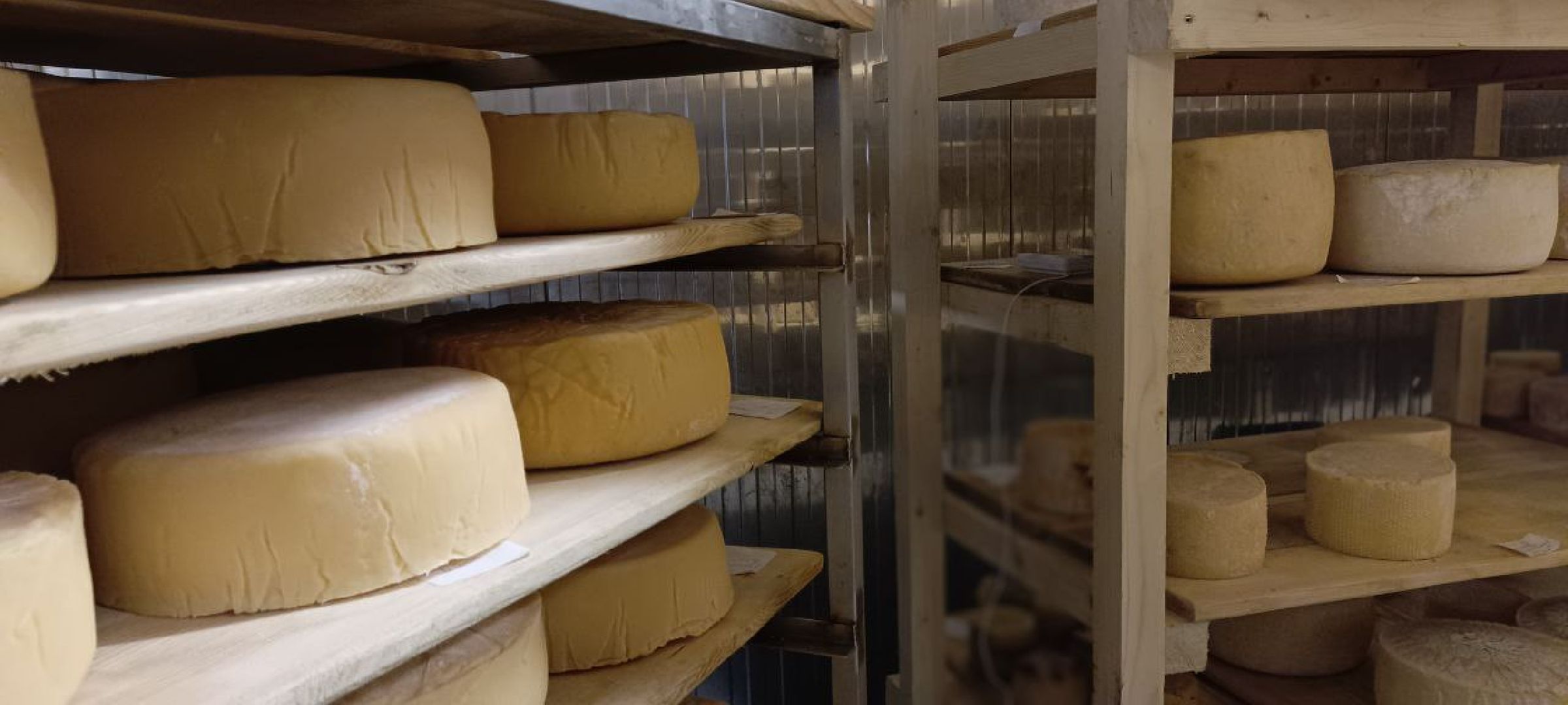 Дмитров, Сыроварня Булатовых, Минсельхоз,