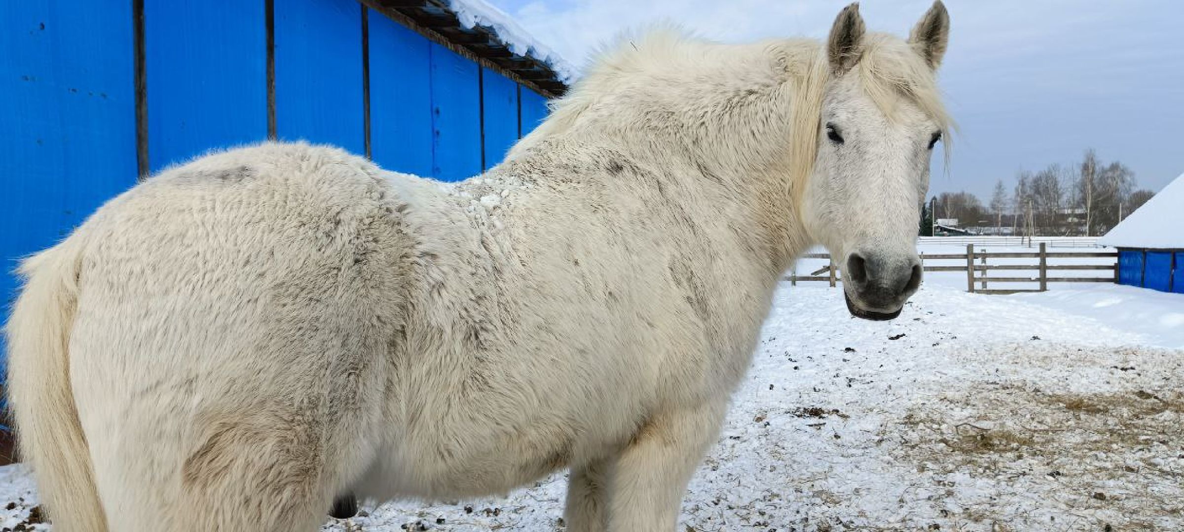 Дмитров, Сыроварня Булатовых, Минсельхоз,