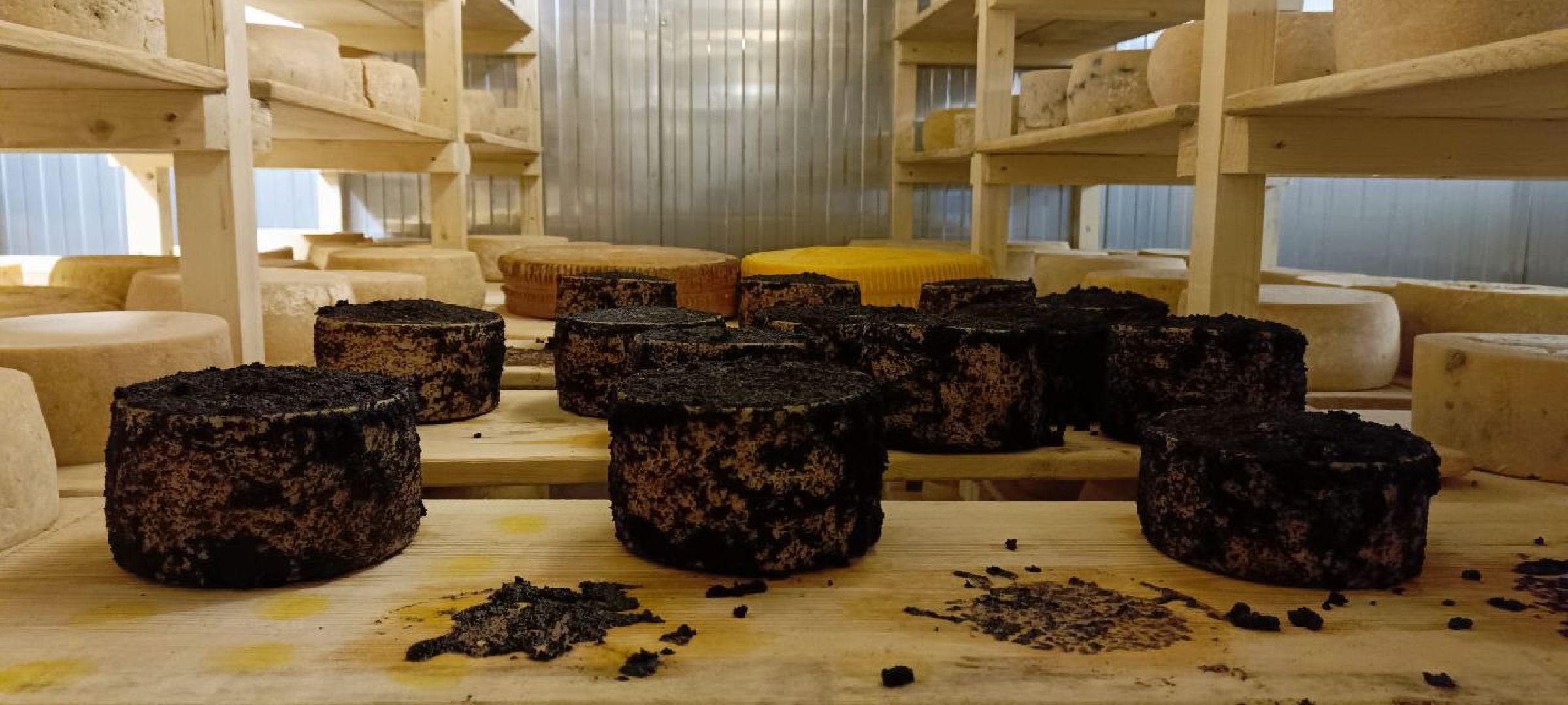 Дмитров, Сыроварня Булатовых, Минсельхоз,