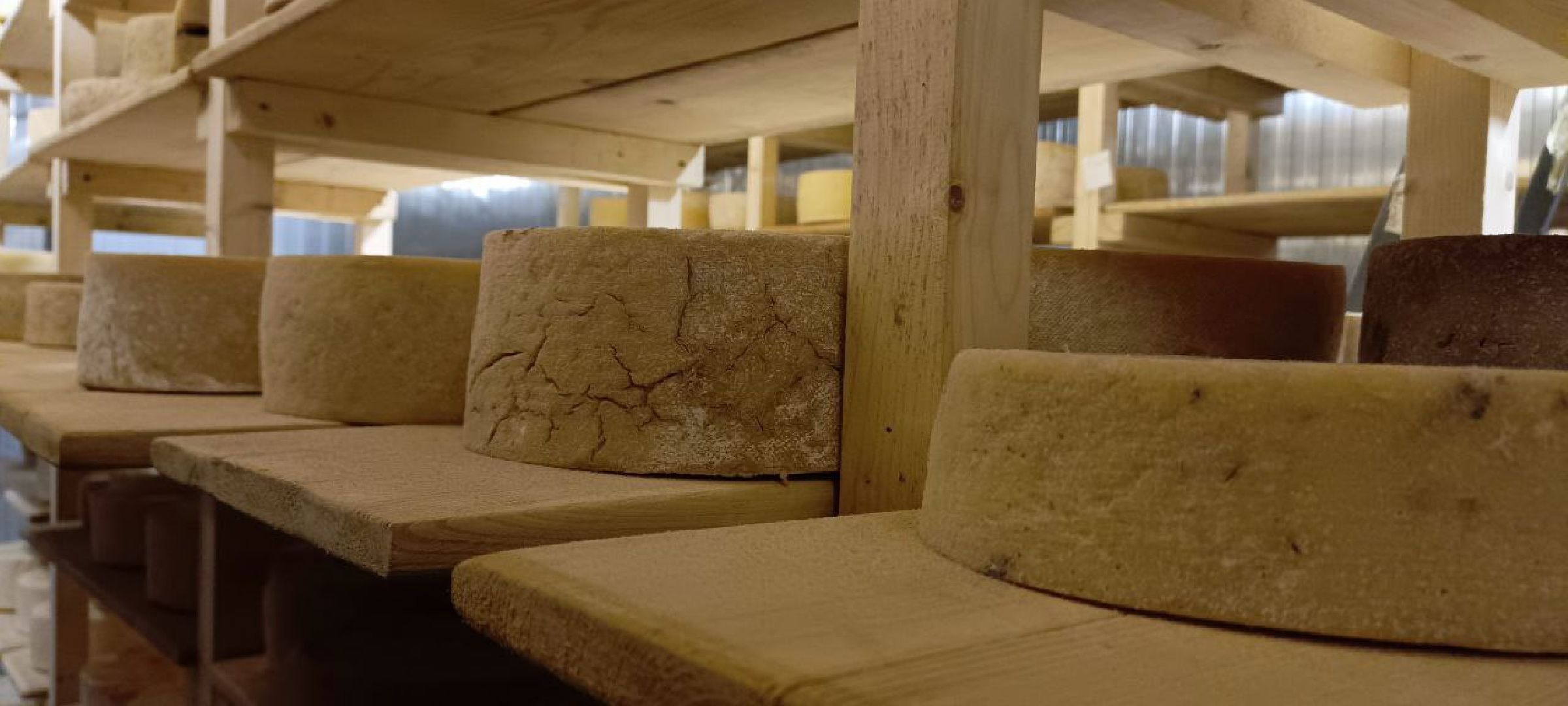 Дмитров, Сыроварня Булатовых, Минсельхоз,