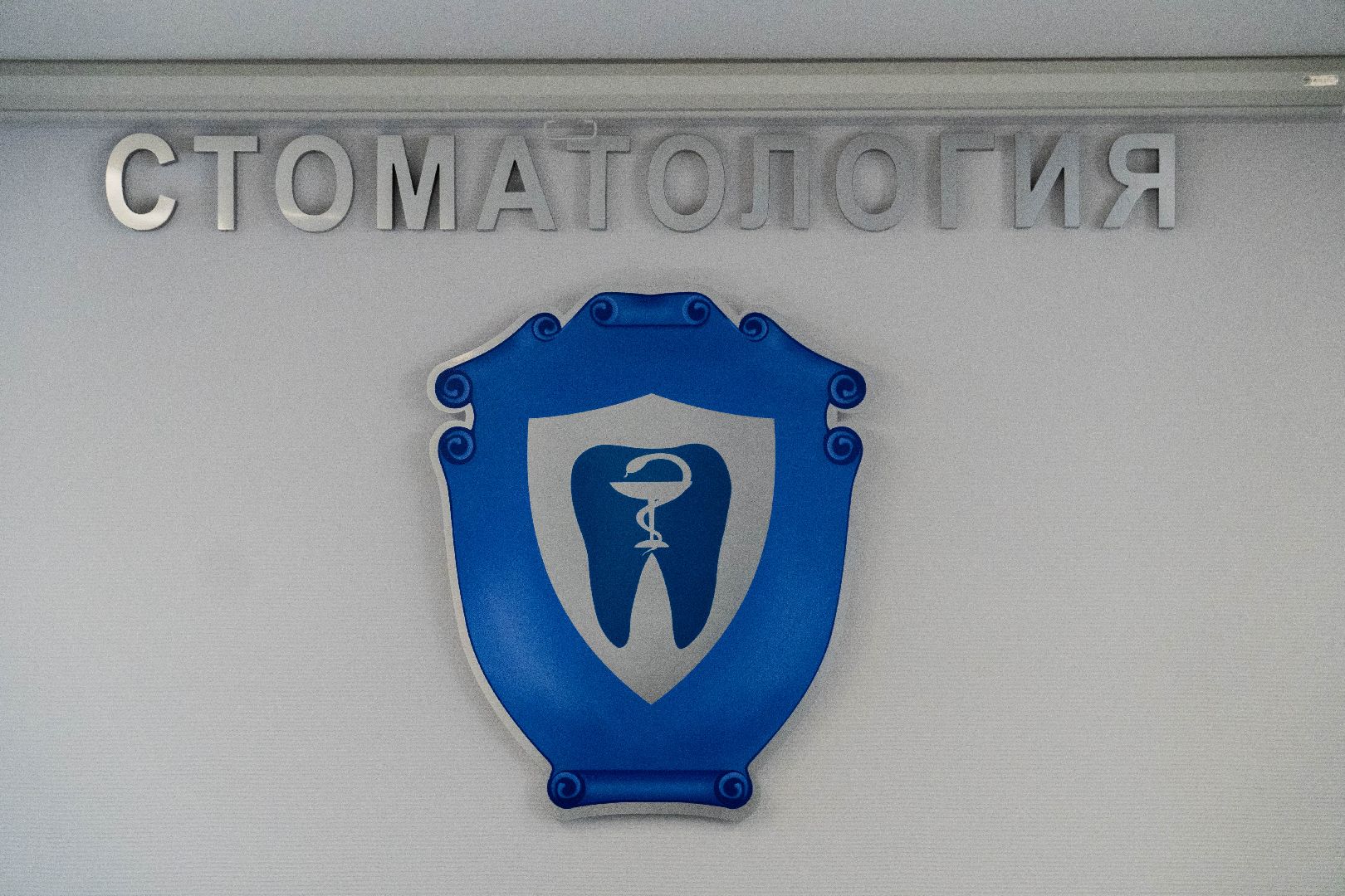 стоматология, помощь бойцам СВО, Домодедово,