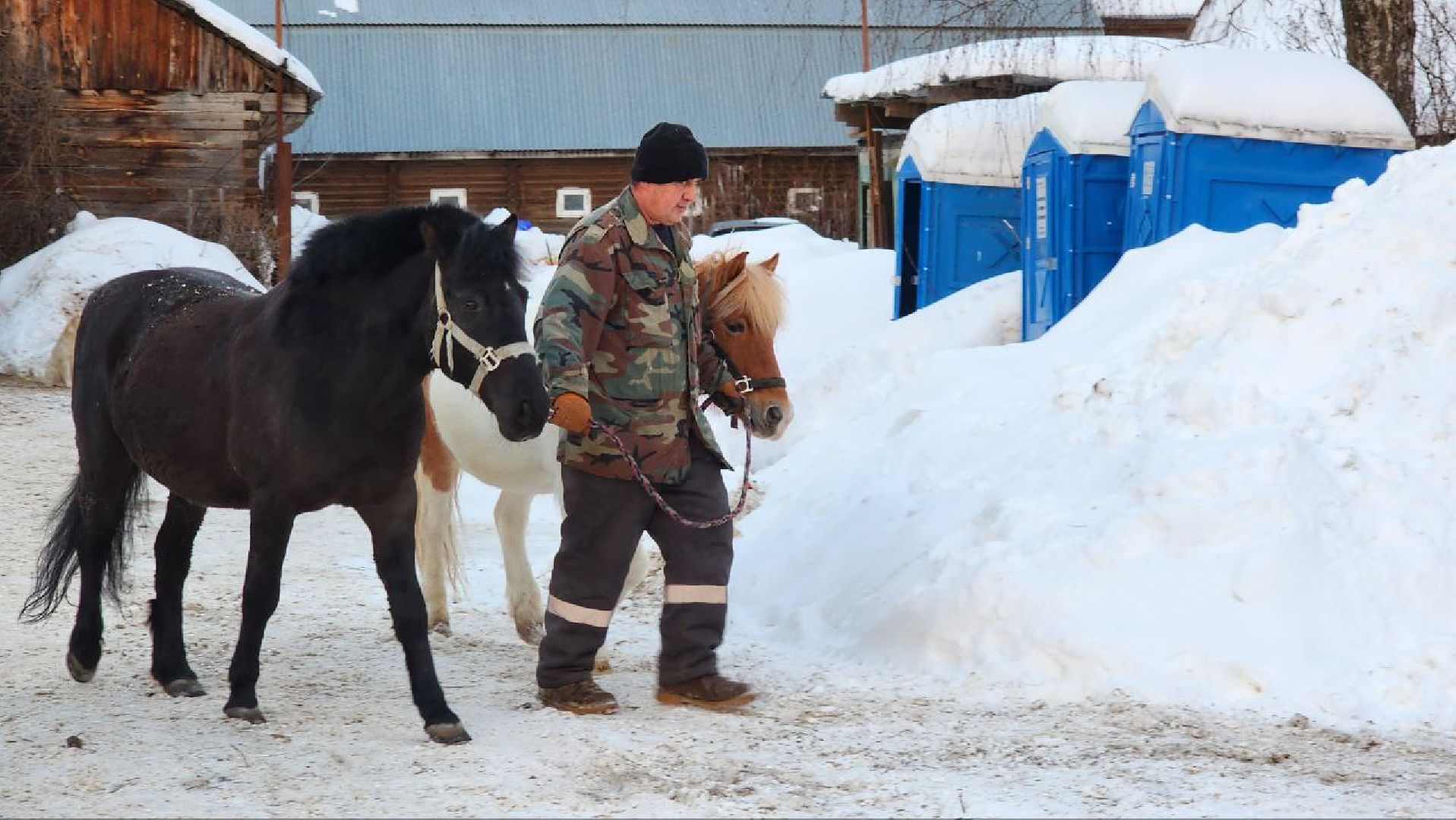 люберцы, Люберецкий конный двор, конюшня,