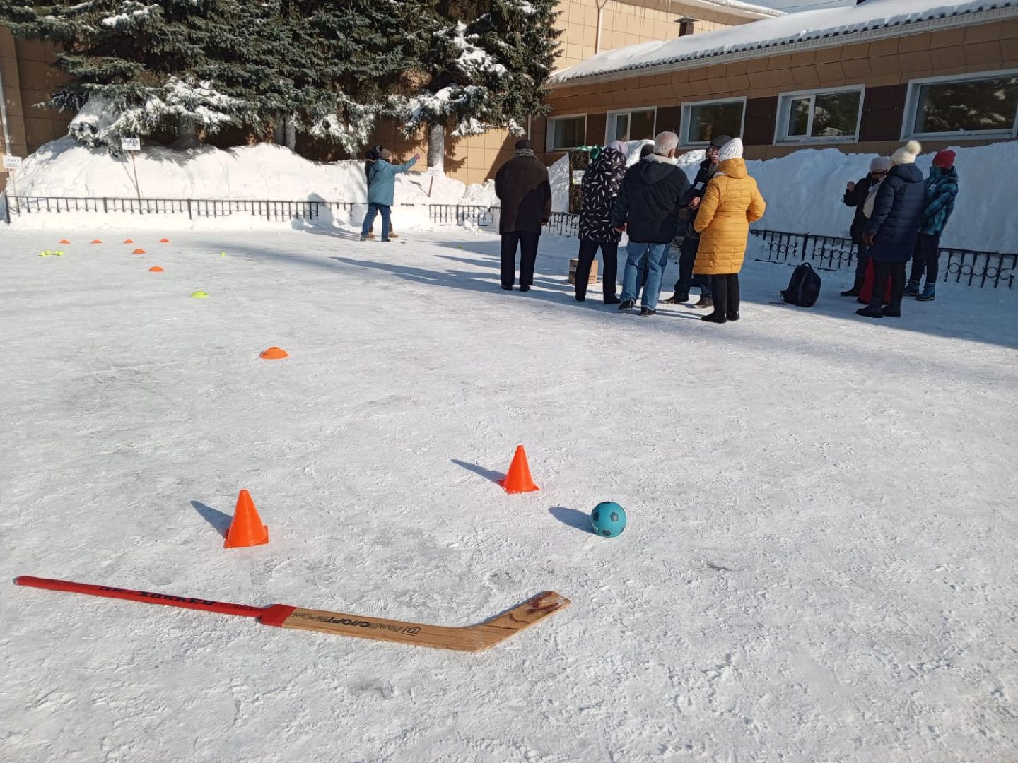 пушкино, спорт, инвалиды, зимние виды спорта, соревнования,