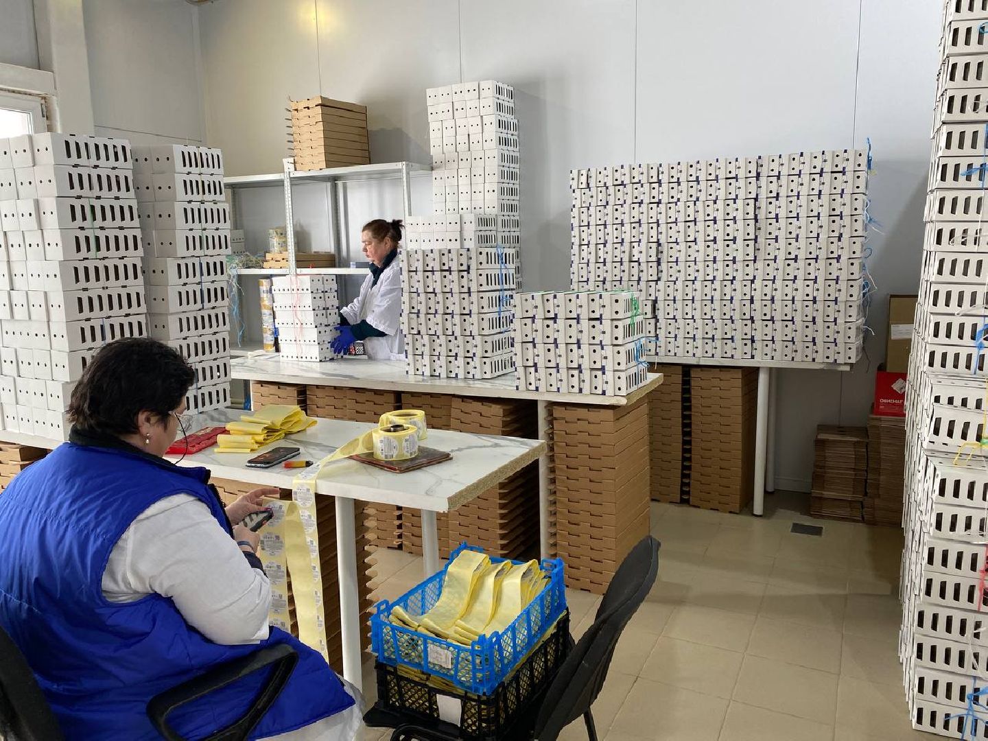 чехов, экономика, сыроварня, инвестпроект, производство, покупатели,