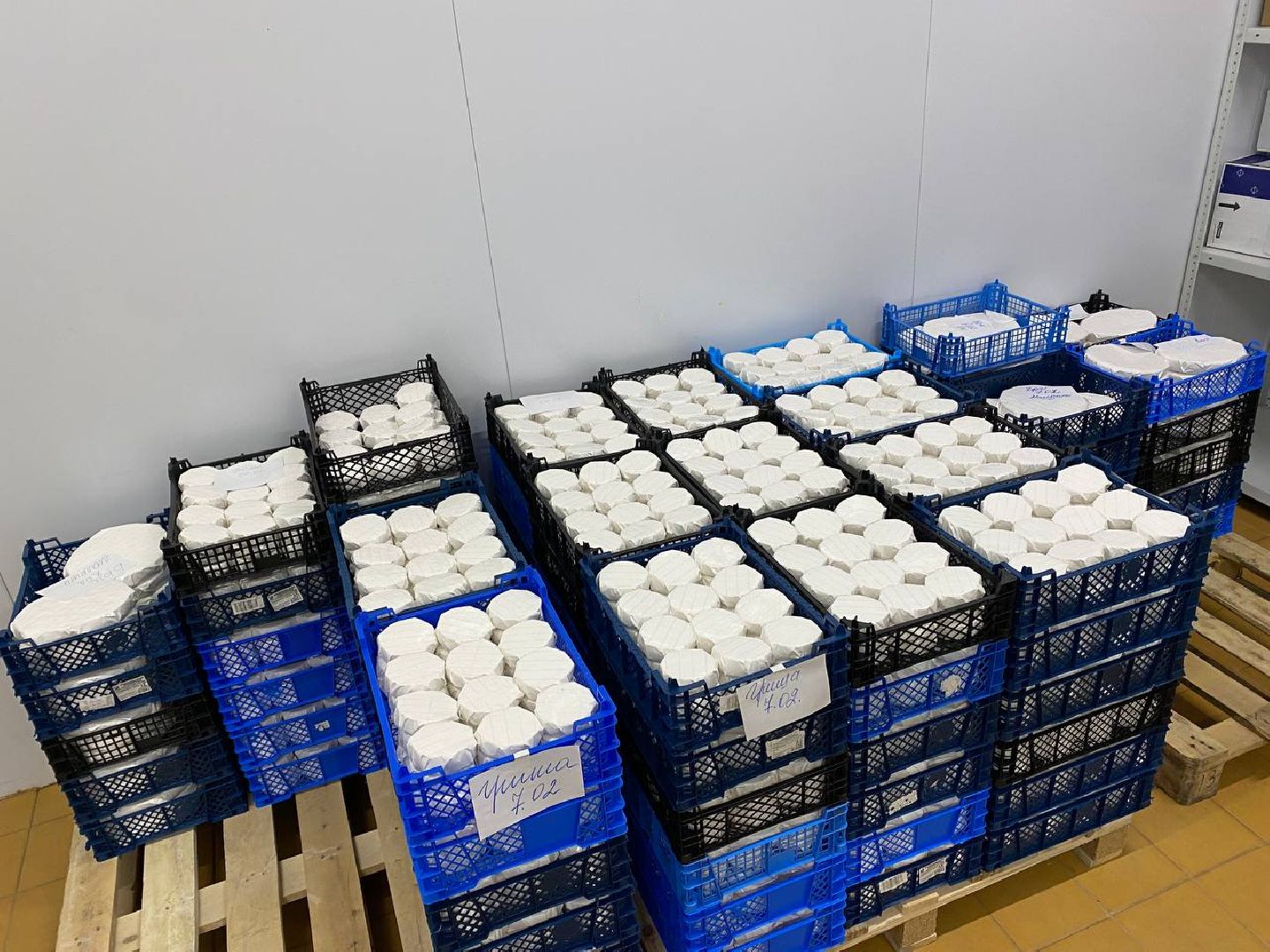 чехов, экономика, сыроварня, инвестпроект, производство, покупатели,