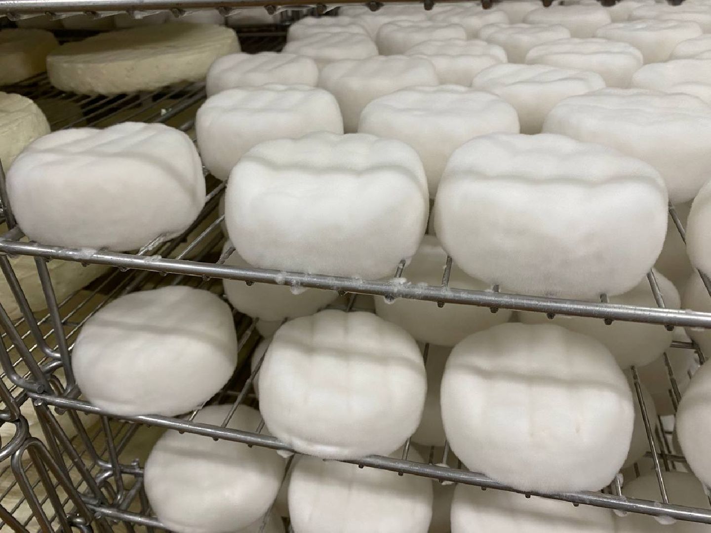 чехов, экономика, сыроварня, инвестпроект, производство, покупатели,