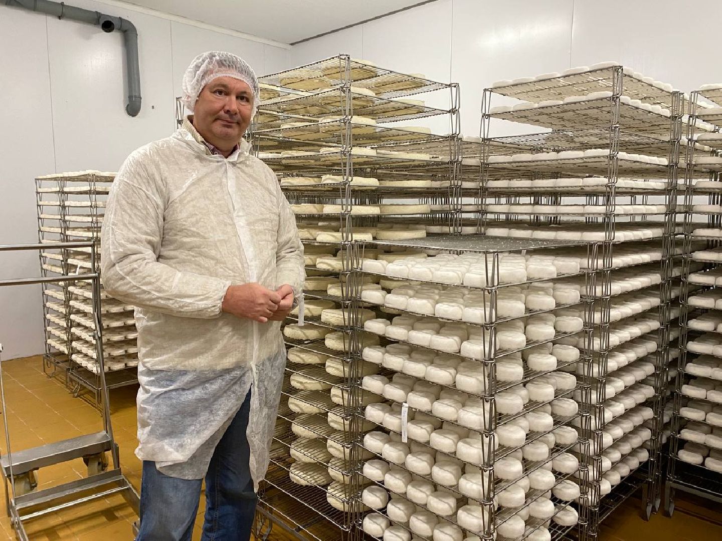 чехов, экономика, сыроварня, инвестпроект, производство, покупатели,