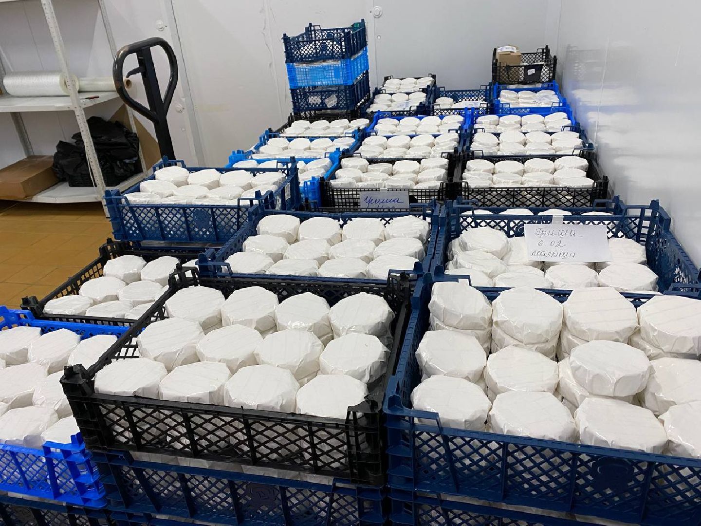 чехов, экономика, сыроварня, инвестпроект, производство, покупатели,