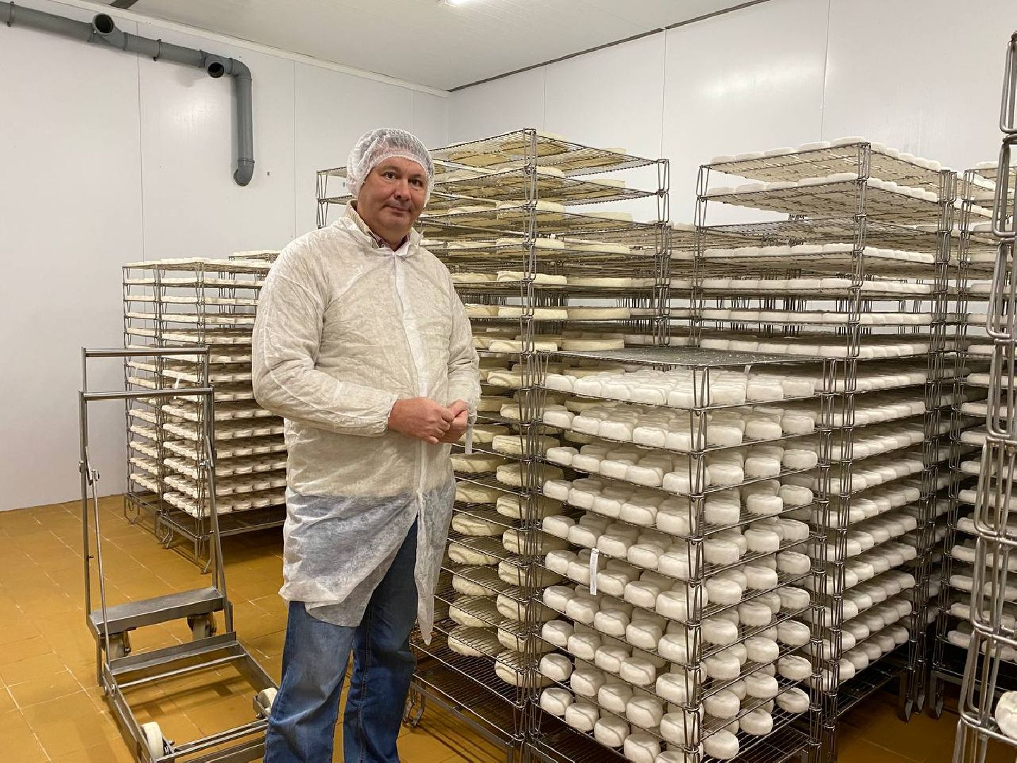 чехов, экономика, сыроварня, инвестпроект, производство, покупатели,