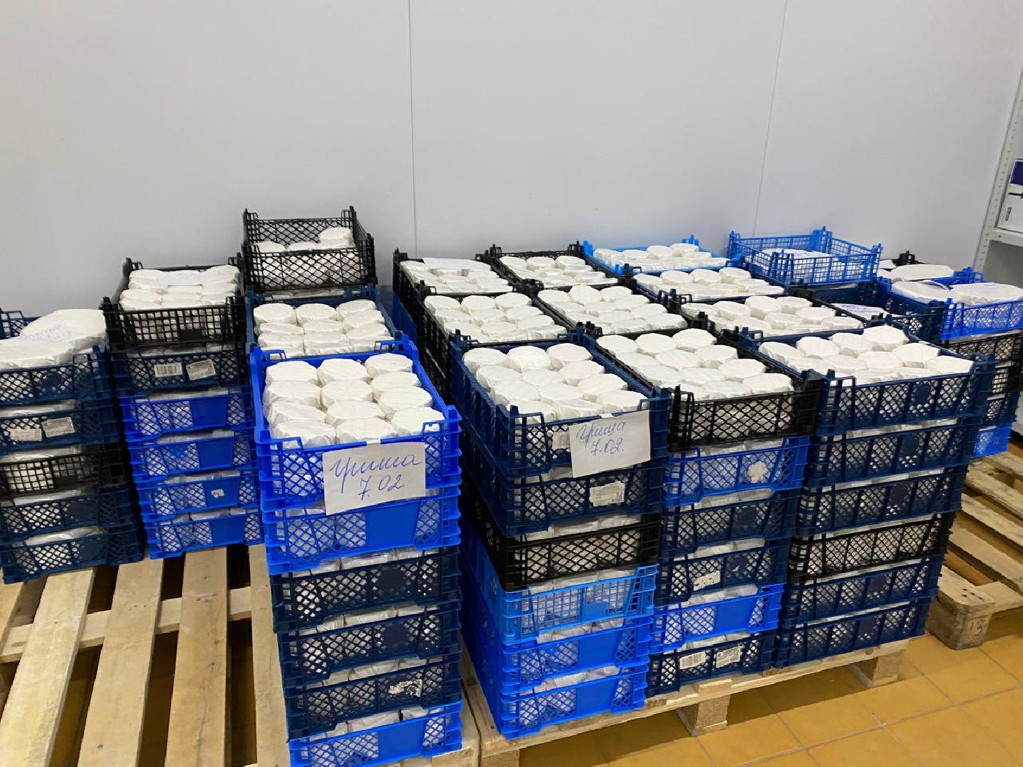 чехов, экономика, сыроварня, инвестпроект, производство, покупатели,