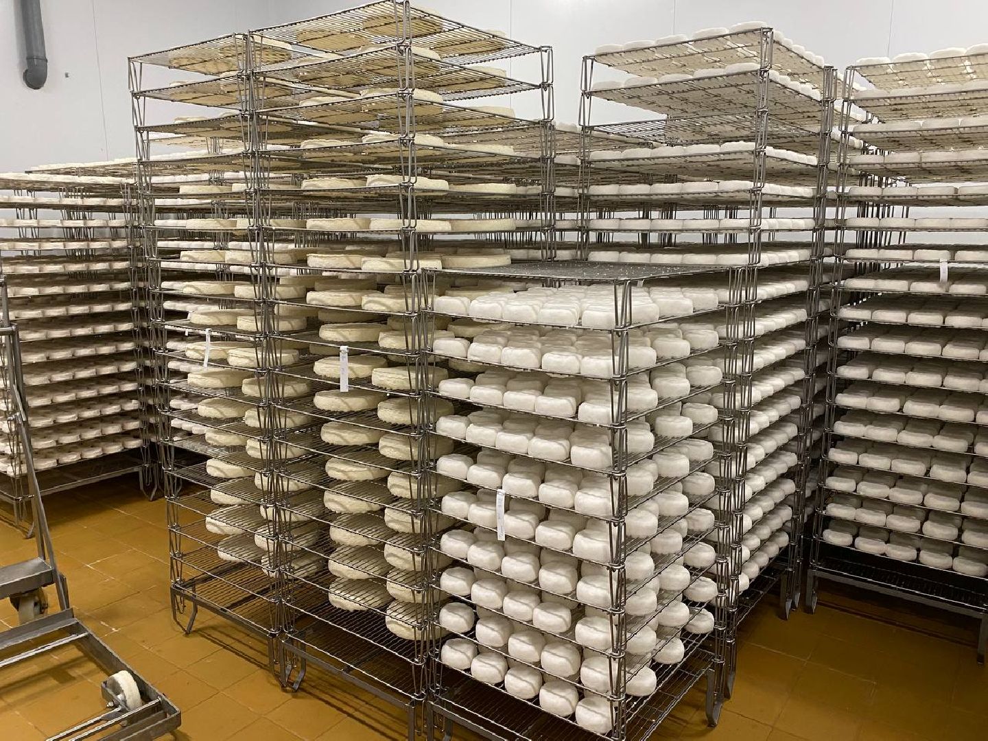 чехов, экономика, сыроварня, инвестпроект, производство, покупатели,