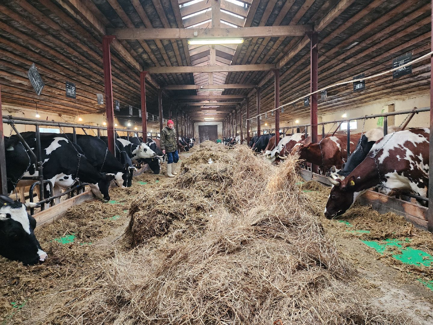 Звенигород, сельское хозяйство, Фермерство,