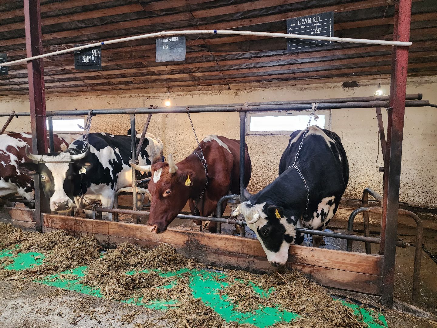 Звенигород, сельское хозяйство, Фермерство,