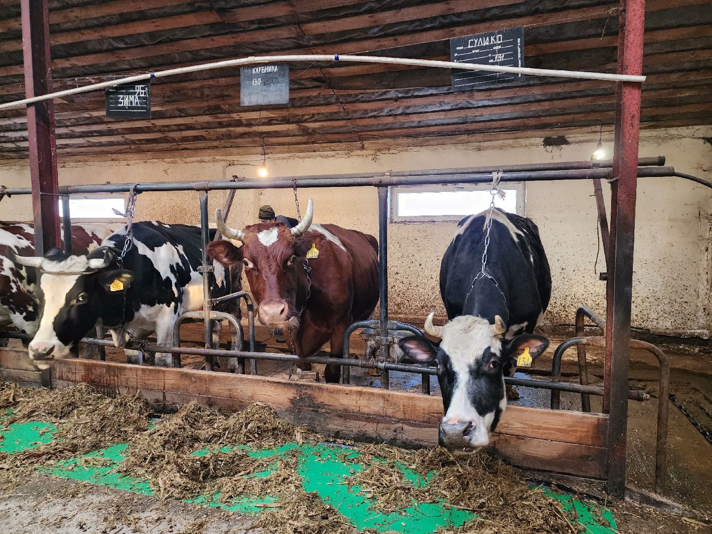 Звенигород, сельское хозяйство, Фермерство,