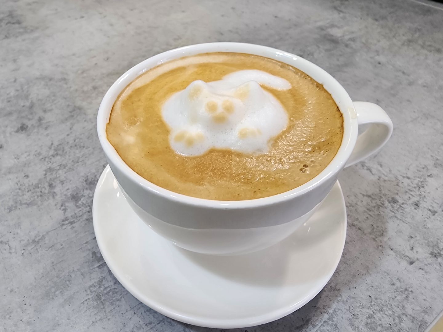 серпухов, еда, соборная гора, туристы, мини-кофейня, улица володарского,