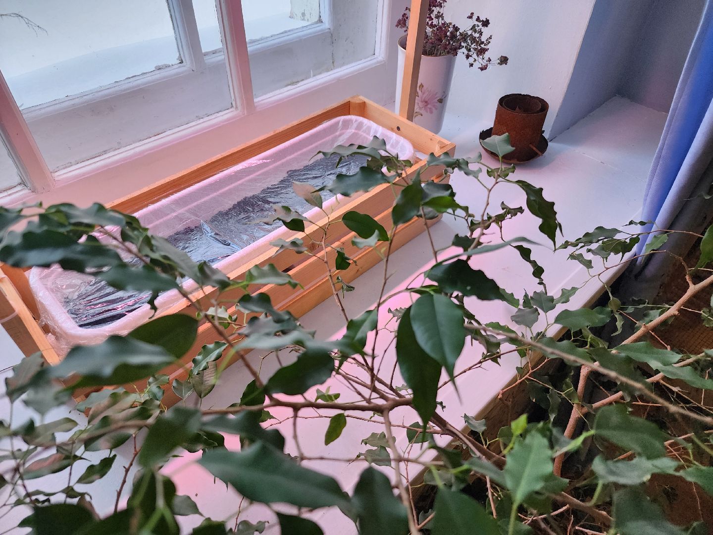 музей, Трогательный музей, ликино-дулево,