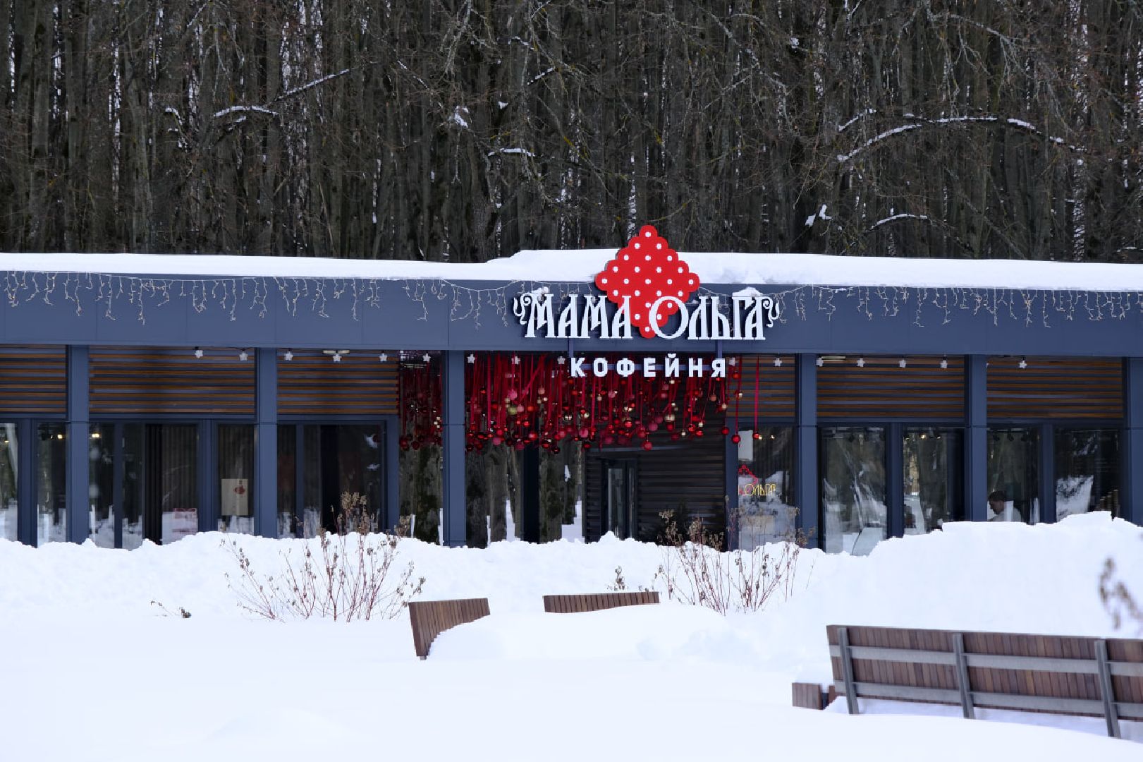 пущино, зима в подмосковье, общественное питание, еда, кофе,