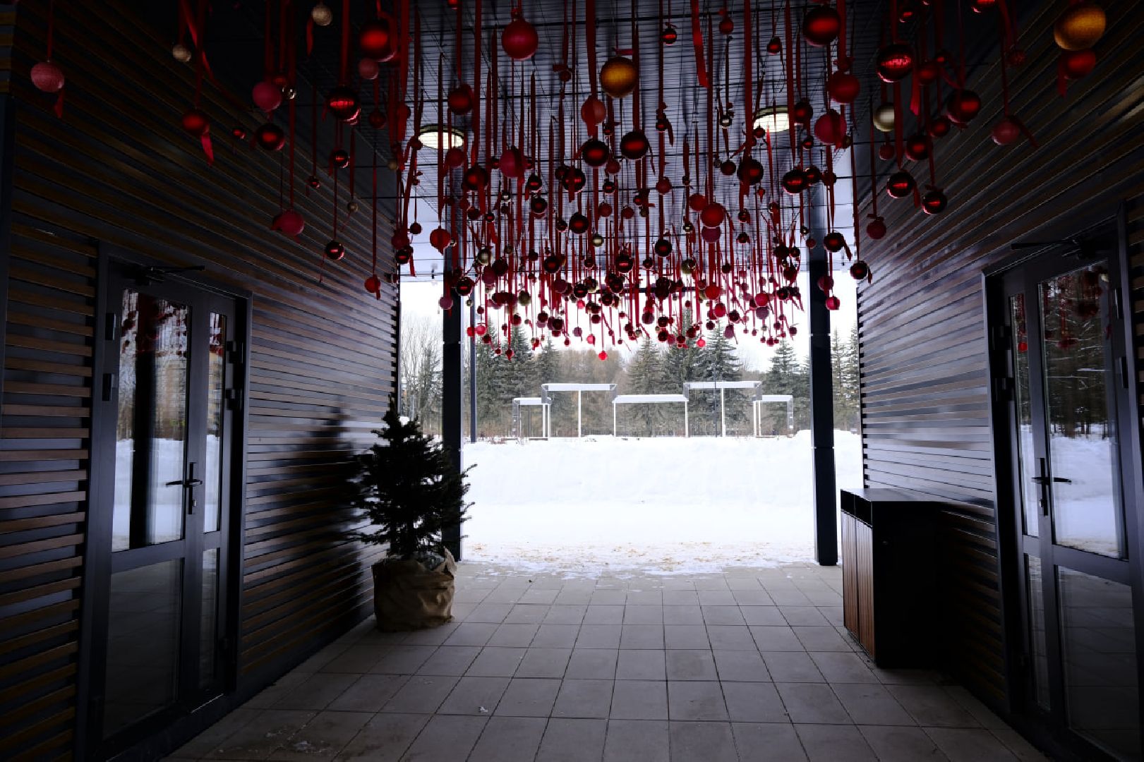 пущино, зима в подмосковье, общественное питание, еда, кофе,