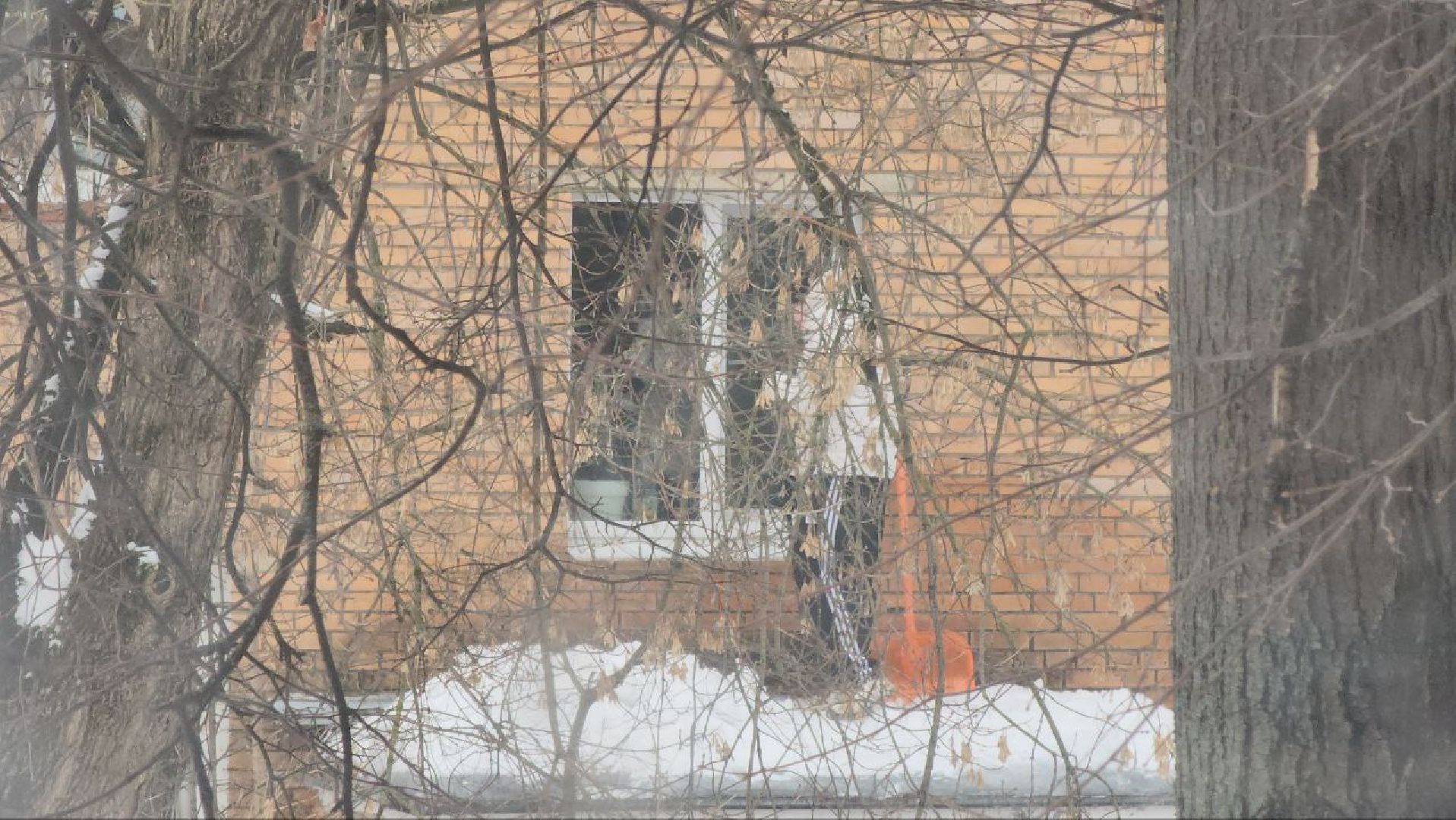 мытищи, жкх, Чистка крыш, Очистка наледи,