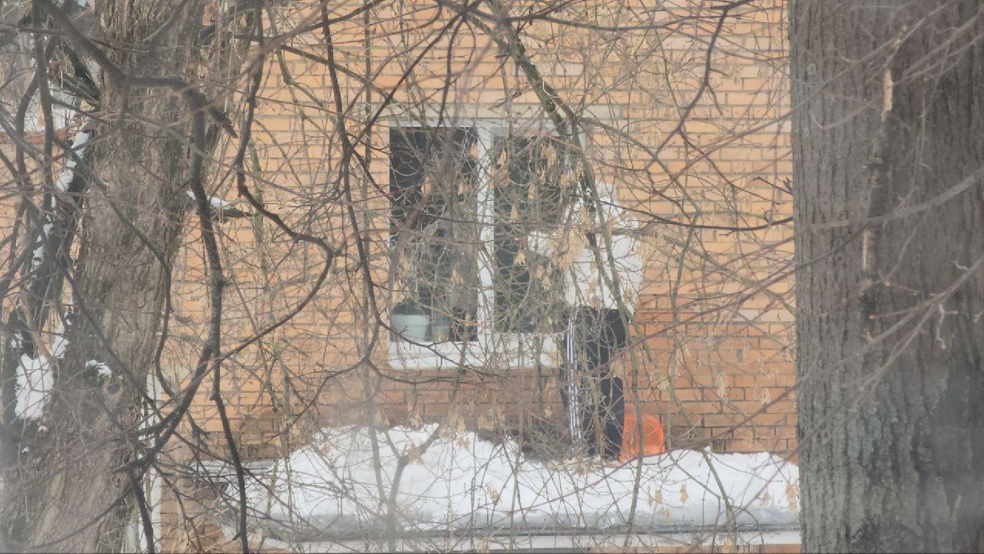 мытищи, жкх, Чистка крыш, Очистка наледи,