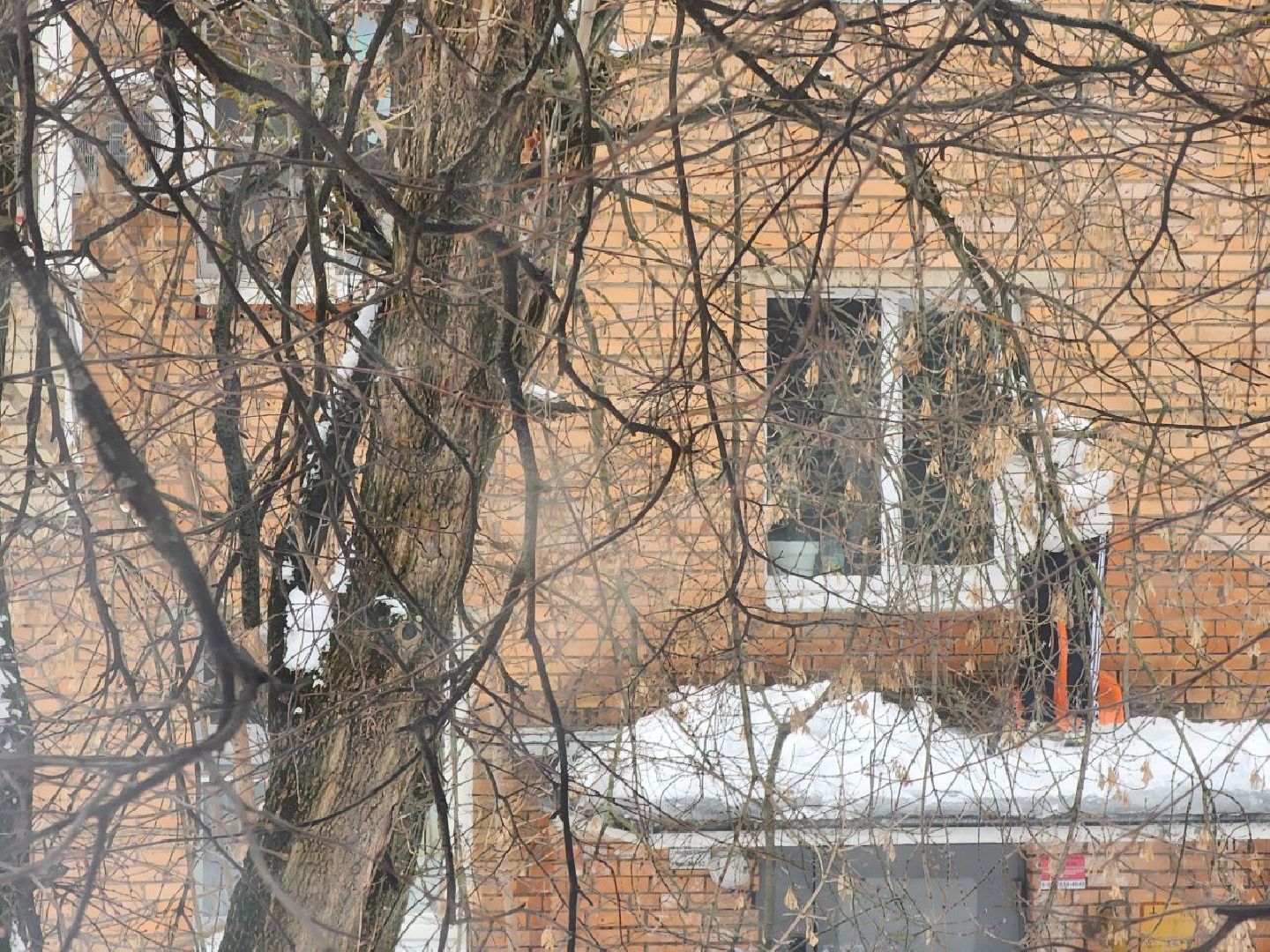 мытищи, жкх, Чистка крыш, Очистка наледи,