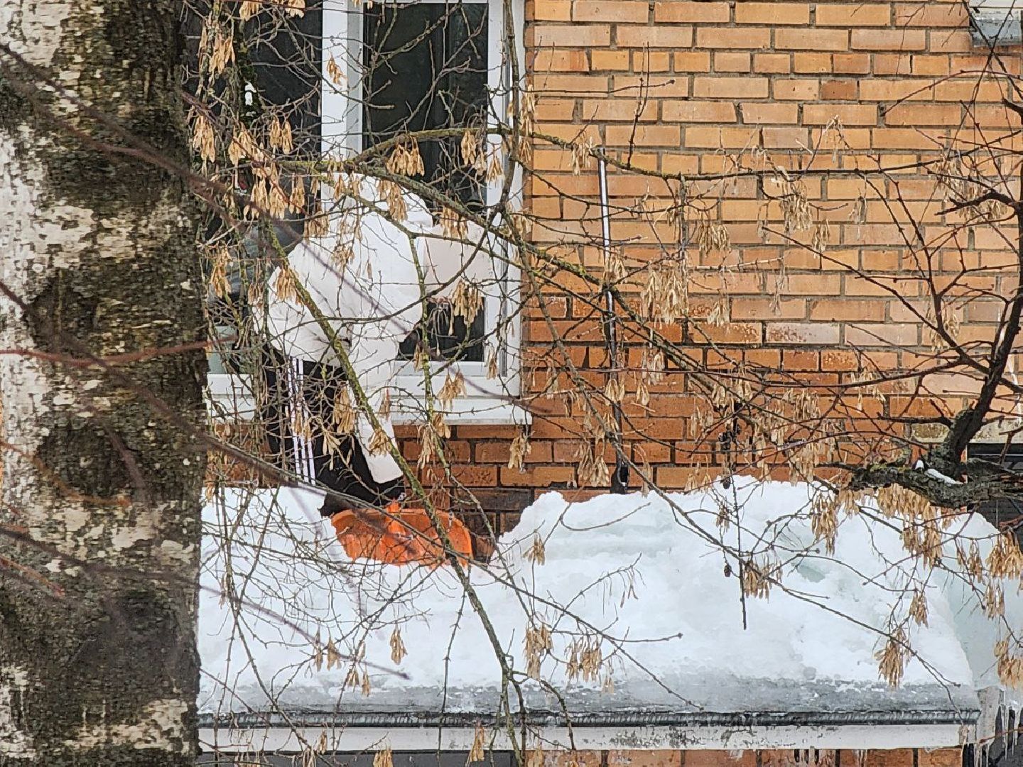 мытищи, жкх, Чистка крыш, Очистка наледи,