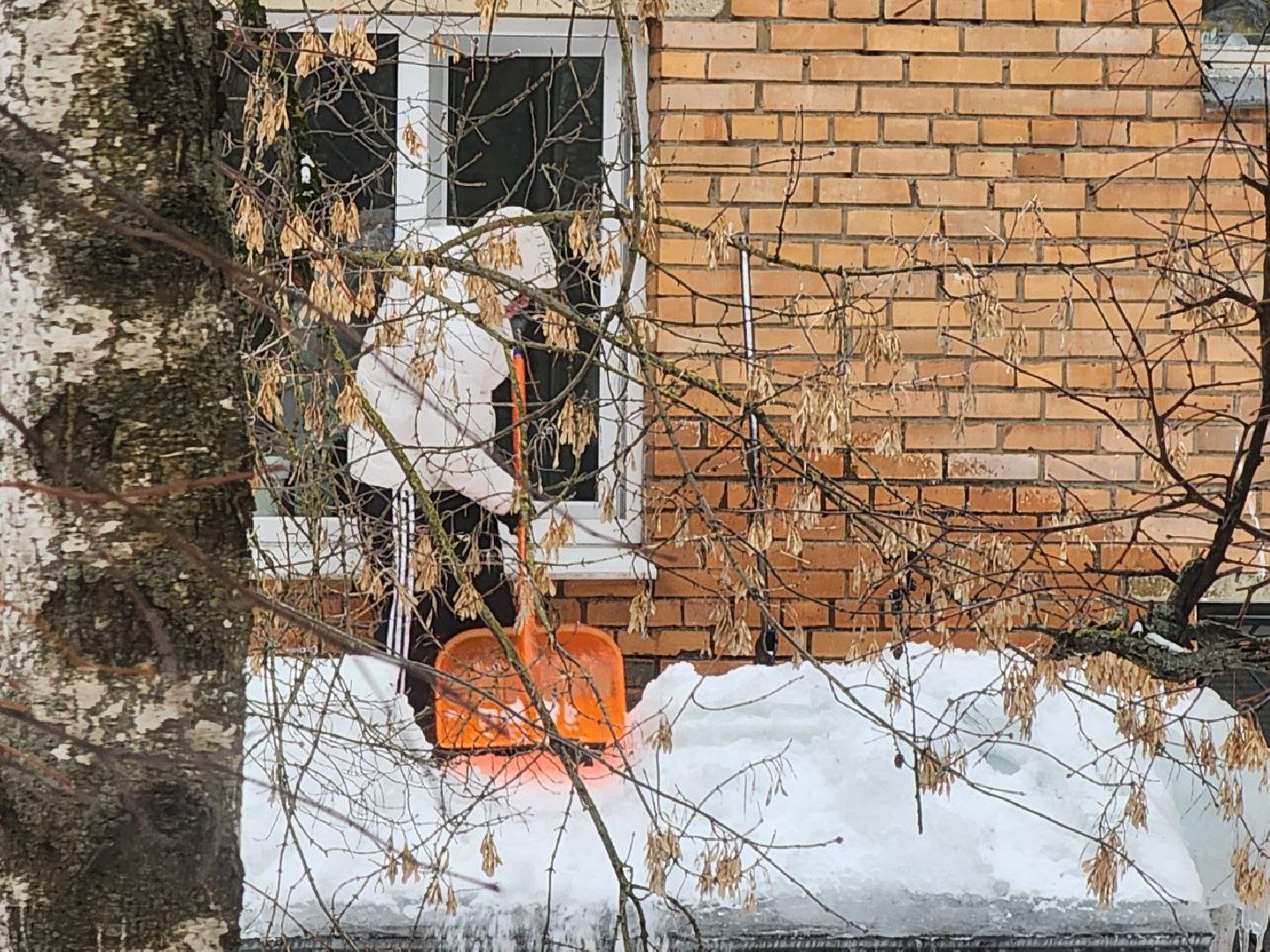 мытищи, жкх, Чистка крыш, Очистка наледи,